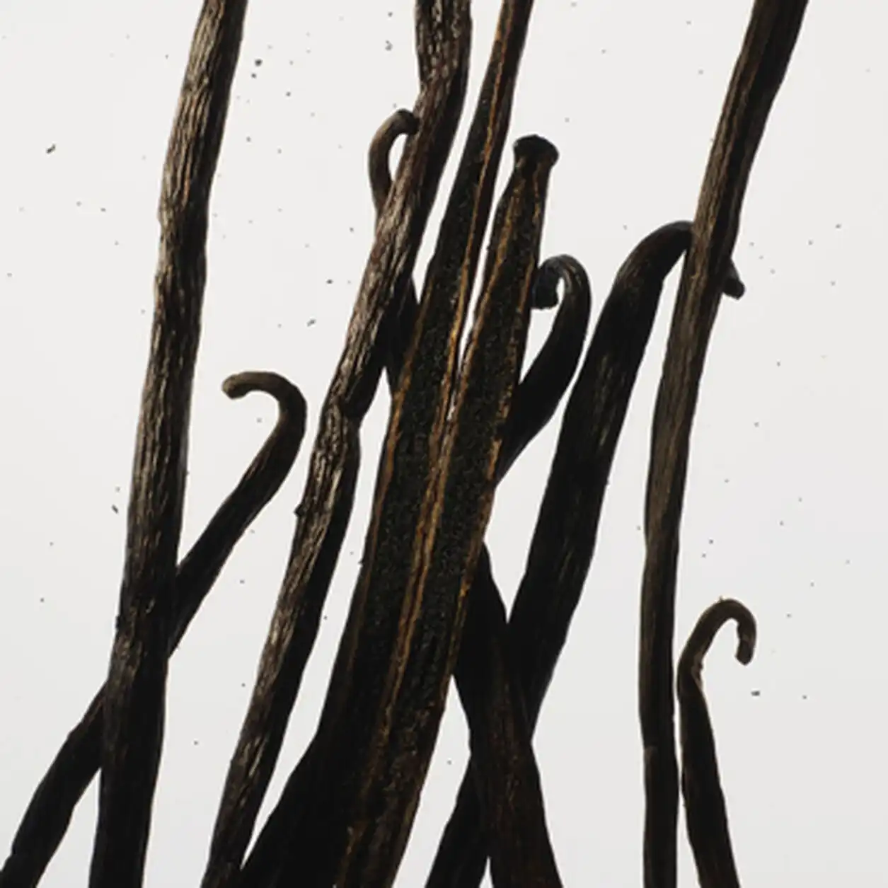 Hình 4 - Prada La Femme EDP 100ml