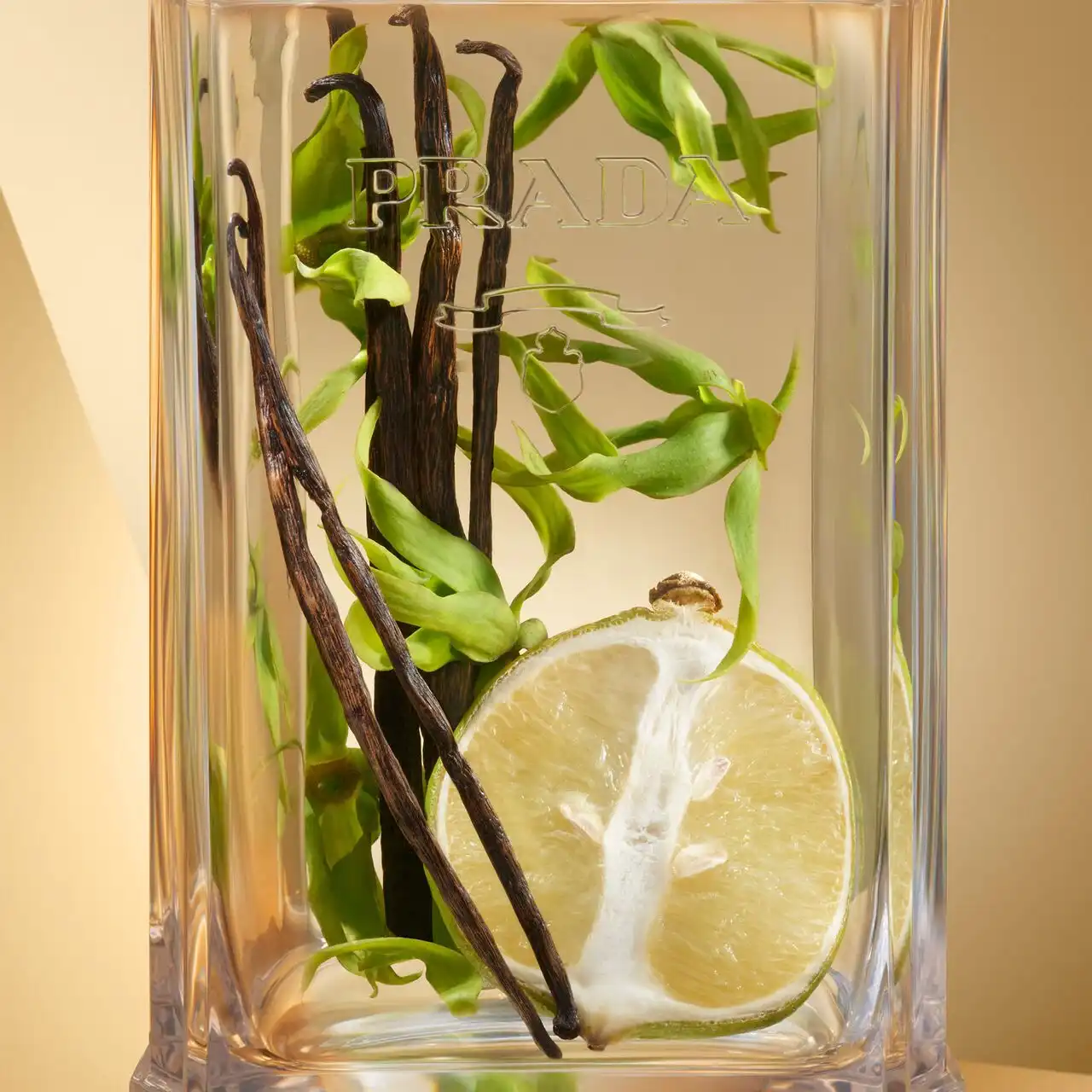 Hình 6 - Prada La Femme EDP 100ml