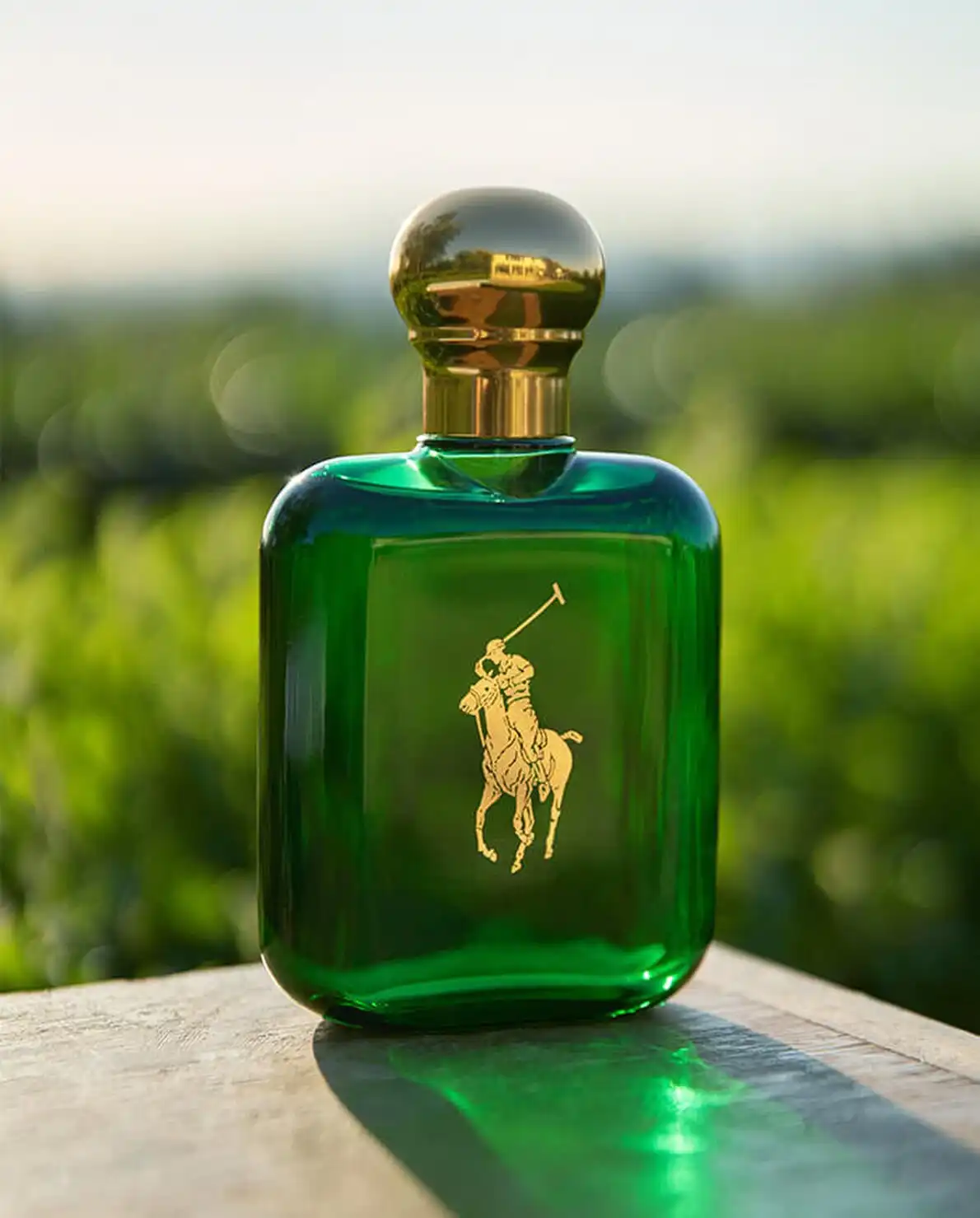 Hình 5 - Ralph Lauren Polo Cologne EDP Intense 118ml