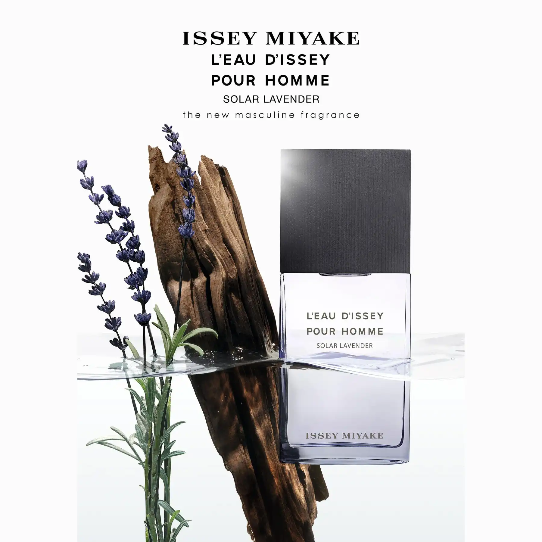 Hình 2 - Issey Miyake L’Eau d’Issey Pour Homme Solar Lavender (2024) Intense EDT 100ml