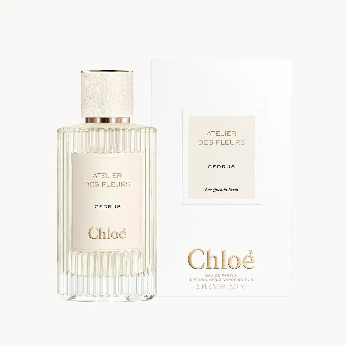 Hình 4 - Chloe Cedrus EDP 150ml
