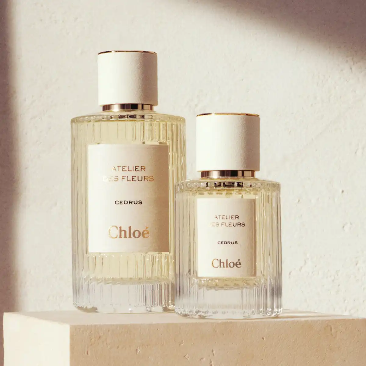 Hình 3 - Chloe Cedrus EDP 150ml
