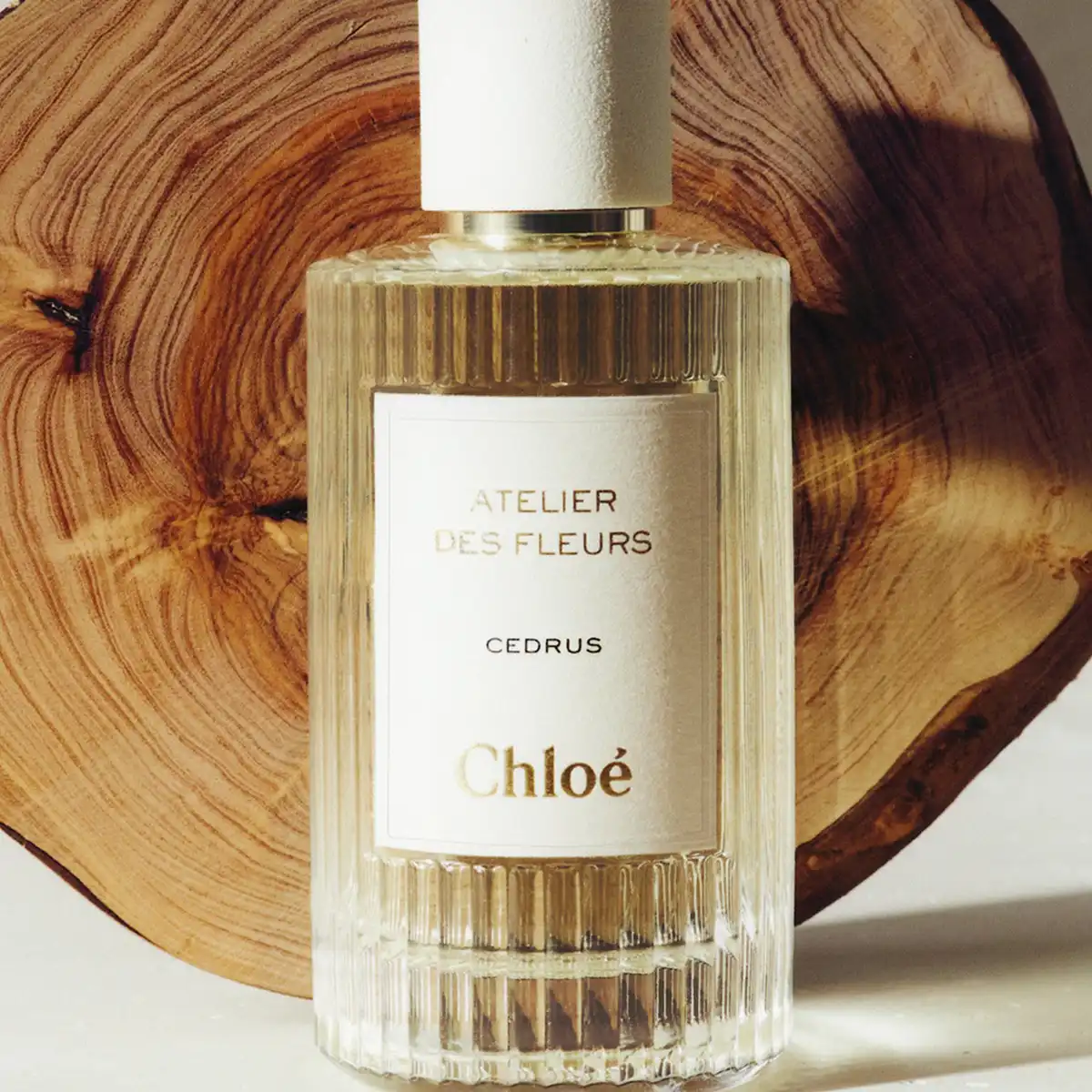 Hình 5 - Chloe Cedrus EDP 150ml
