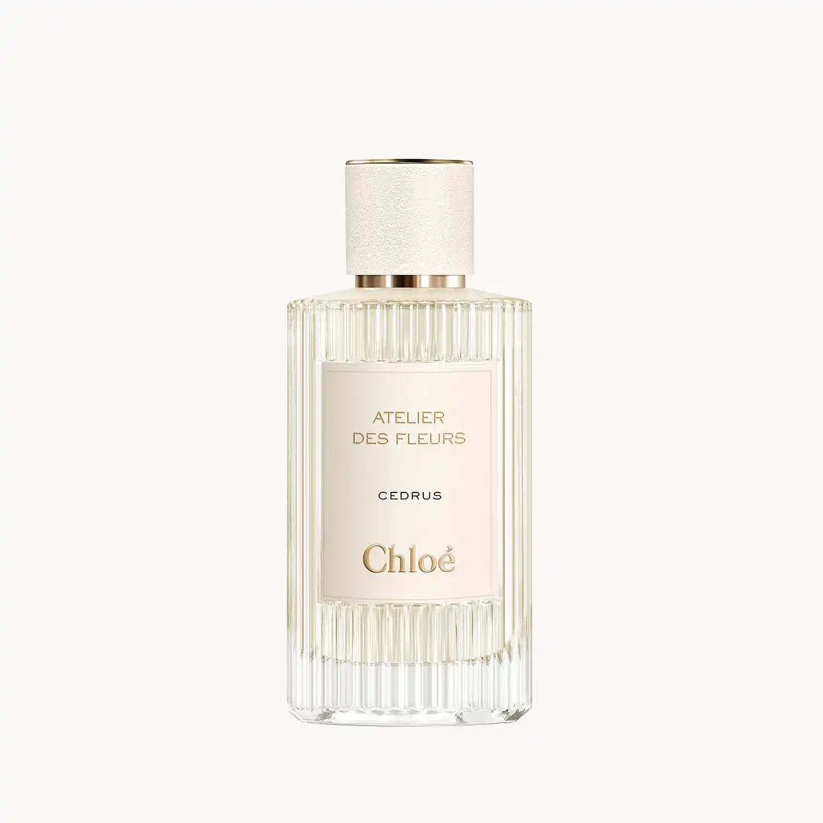 Hình 1 - Chloe Cedrus EDP 150ml