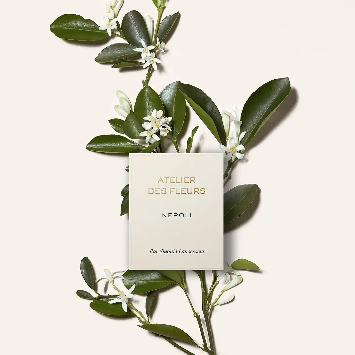 Hình 3 - Chloe Neroli EDP 150ml