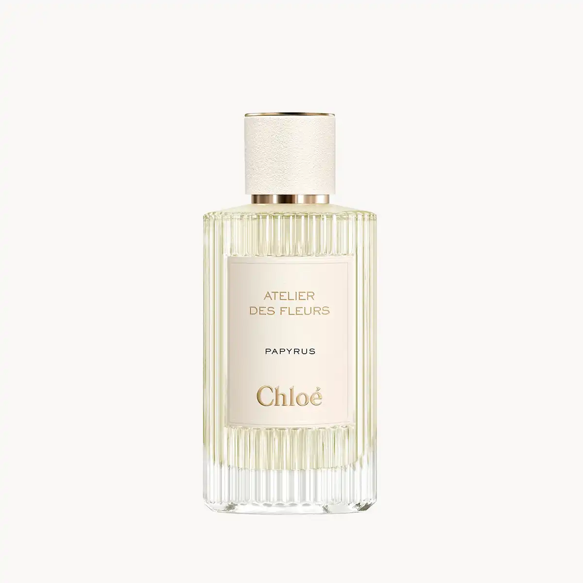 Hình 1 - Chloe Papyrus EDP 150ml