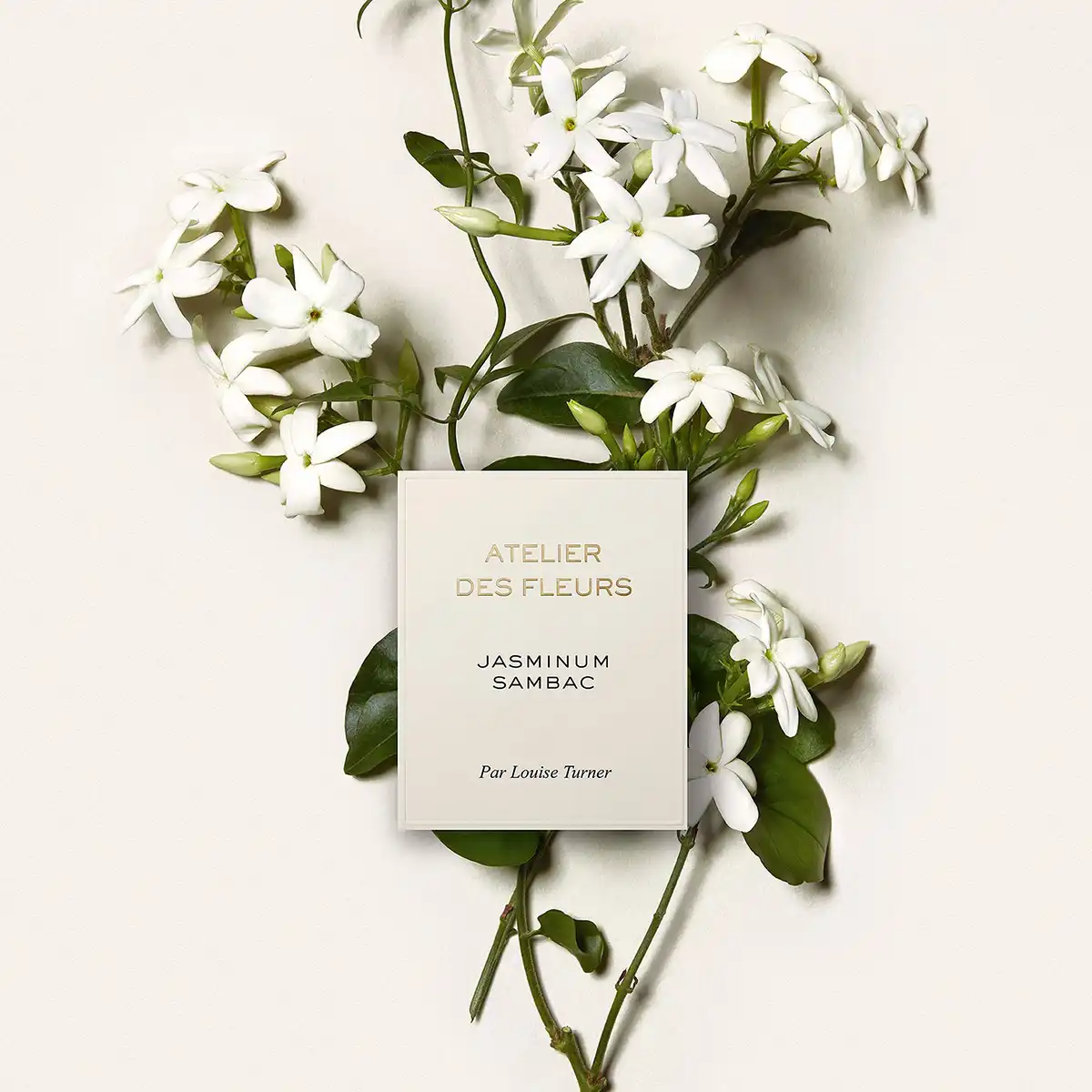 Hình 3 - Chloe Jasminum Sambac EDP 150ml