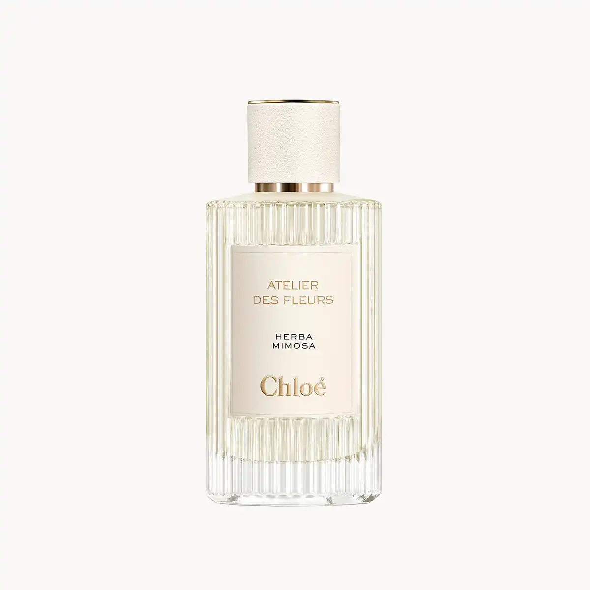 Hình 1 - Chloe Herba Mimosa EDP 150ml