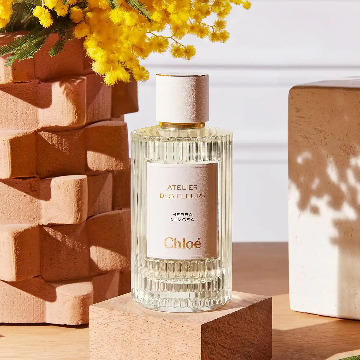 ノエル　✨新品未開封✨　Chloé HERBA MIMOSA 50ml CHLOÉ Atelier Des Fleurs Herba Mimosa Eau De Parfum | MYER