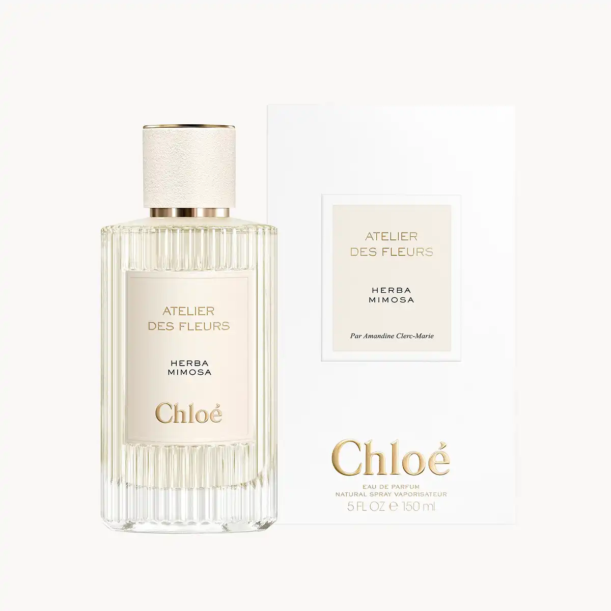 Hình 3 - Chloe Herba Mimosa EDP 150ml