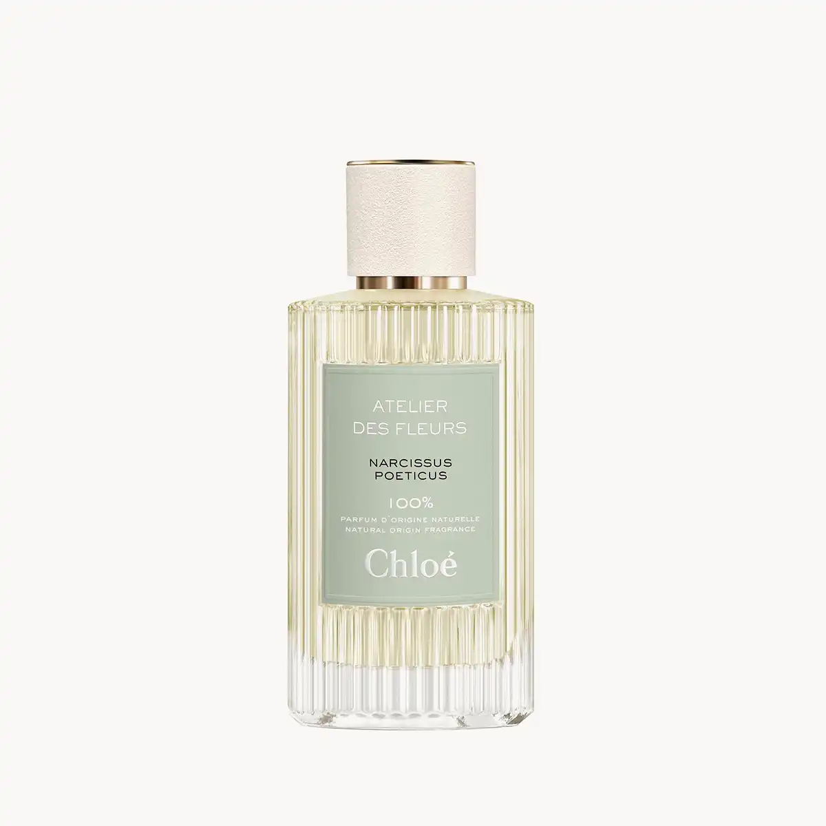 Chloe Narcissus Poeticus