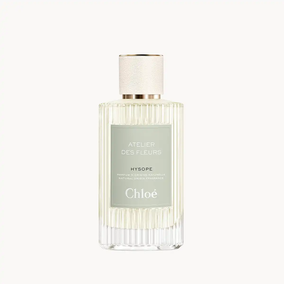 Chloe Hysope (2023)