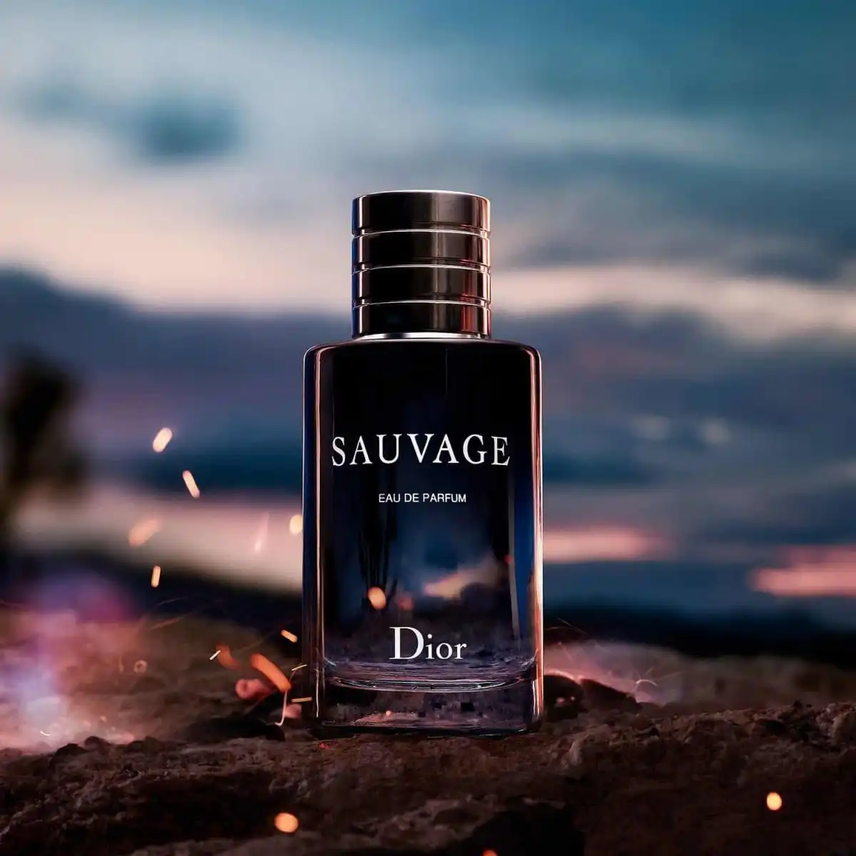 Hình 6 - Dior Sauvage EDP 100ml