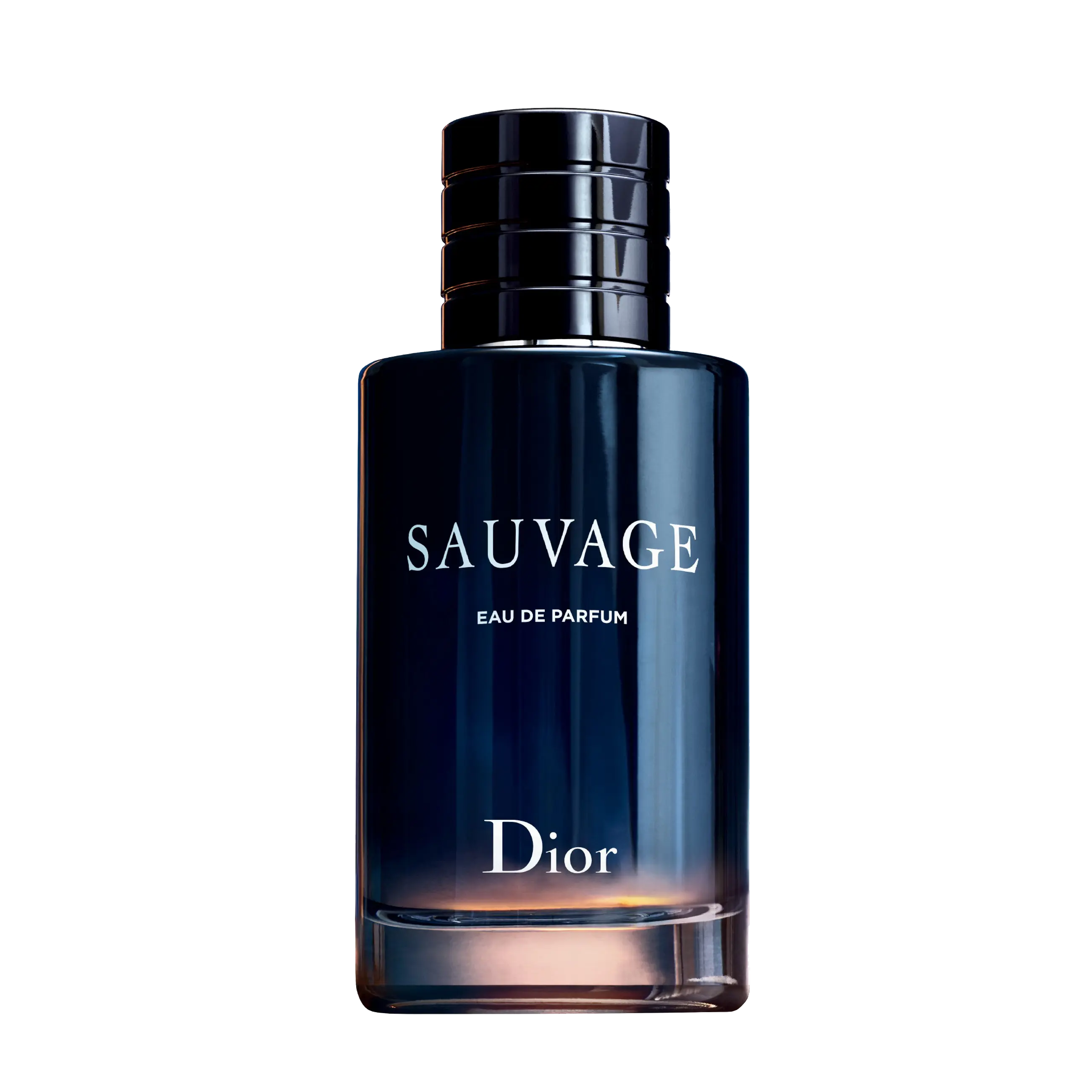 Hình 1 - Dior Sauvage EDP 100ml