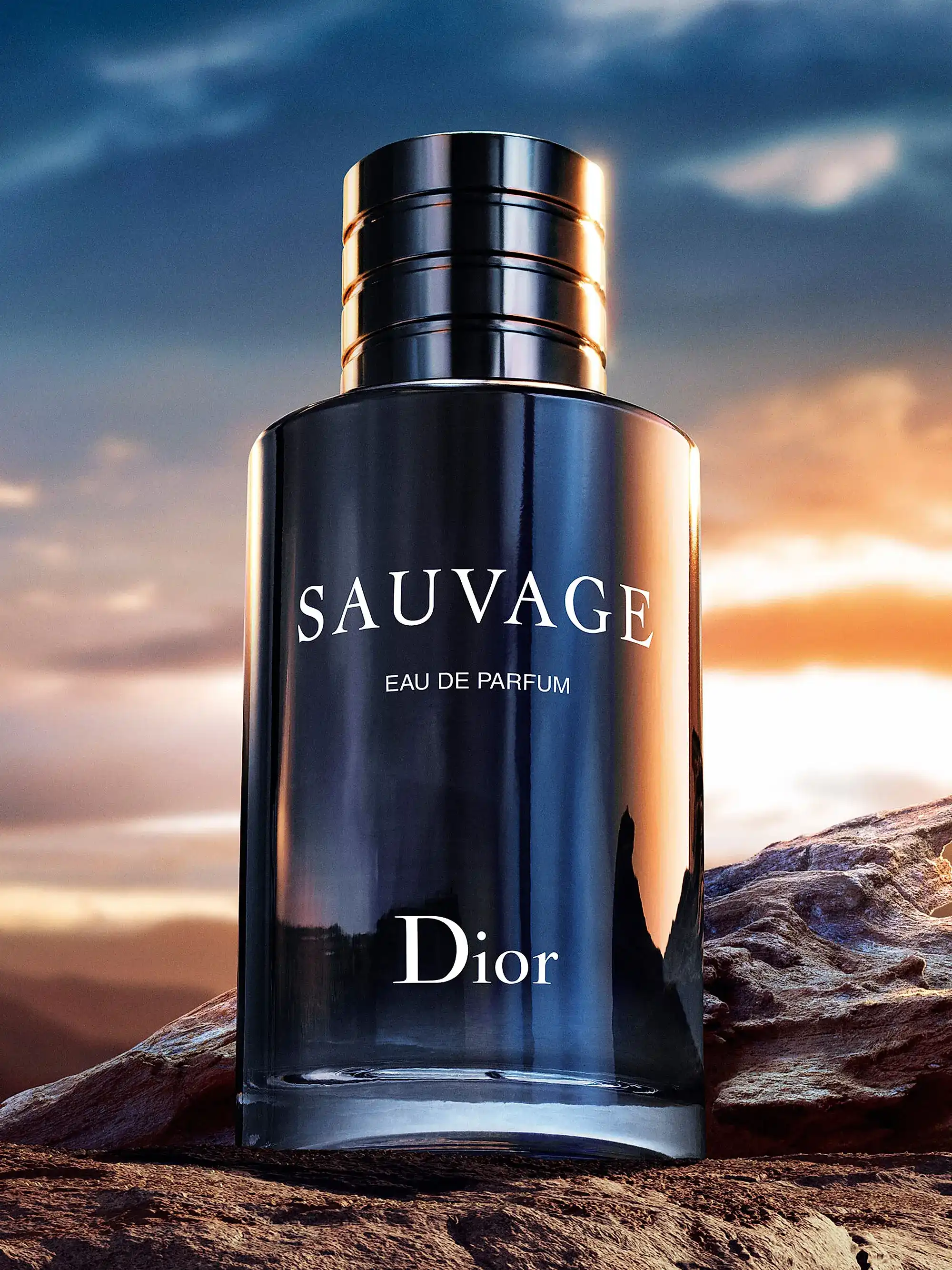 Dior Sauvage EDP MC Perfume Diamond: Công Ty Nhập Khẩu Và Cung Cấp Sỉ  Nước Hoa Pháp Chính Hãng