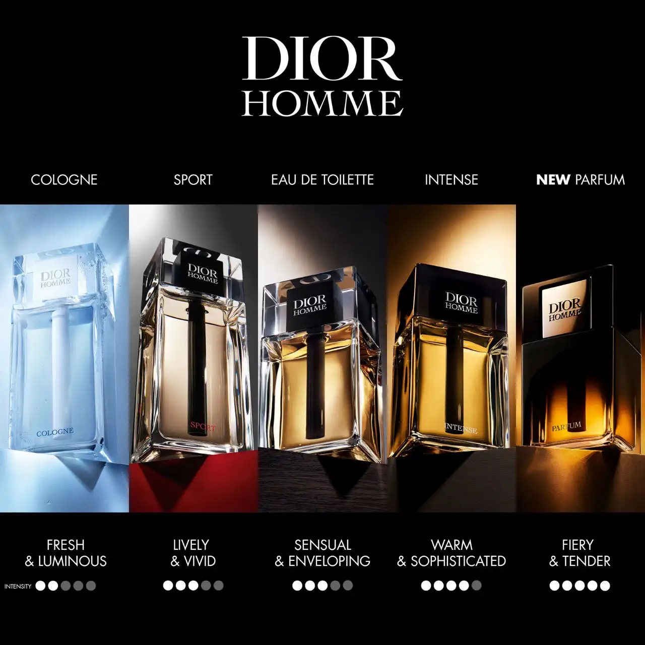 Hình 6 - Dior Homme Intense EDP 100ml