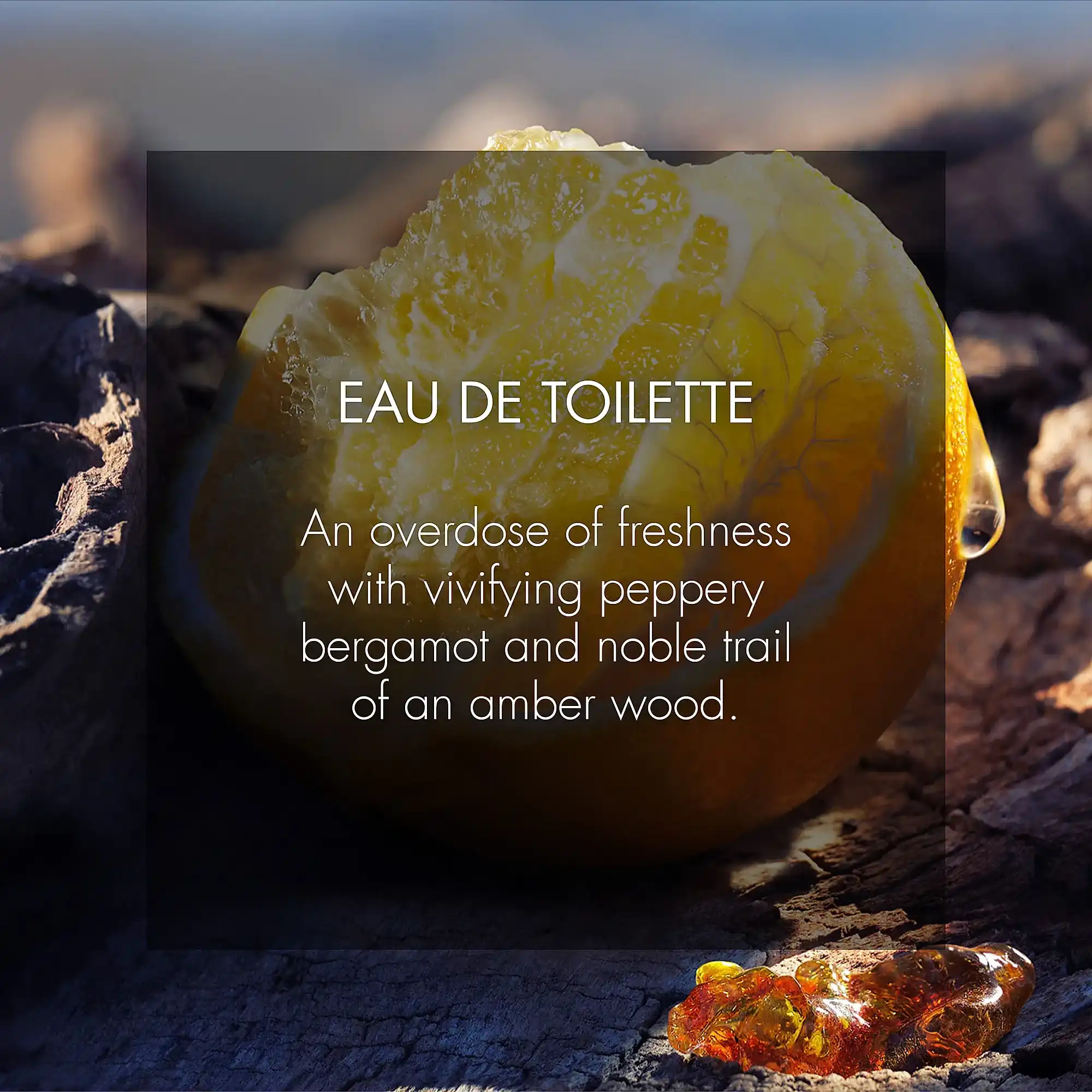 Hình 7 - Dior Sauvage EDT 100ml