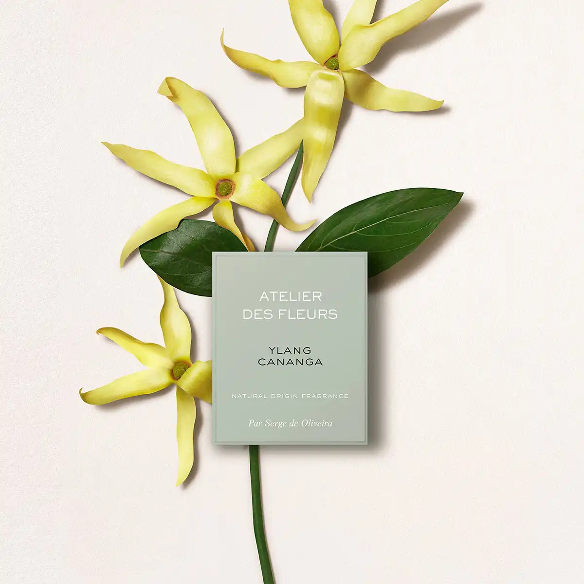 Hình 2 - Chloe Ylang Cananga EDP 150ml