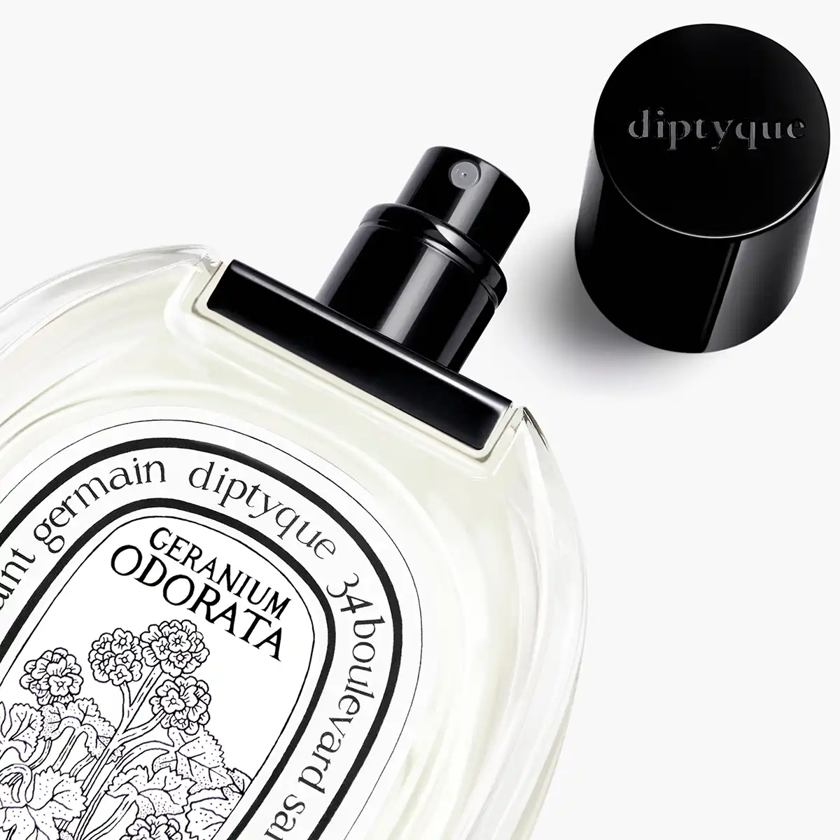 Hình 3 - Diptyque Paris Geranium Odorata EDT 100ml