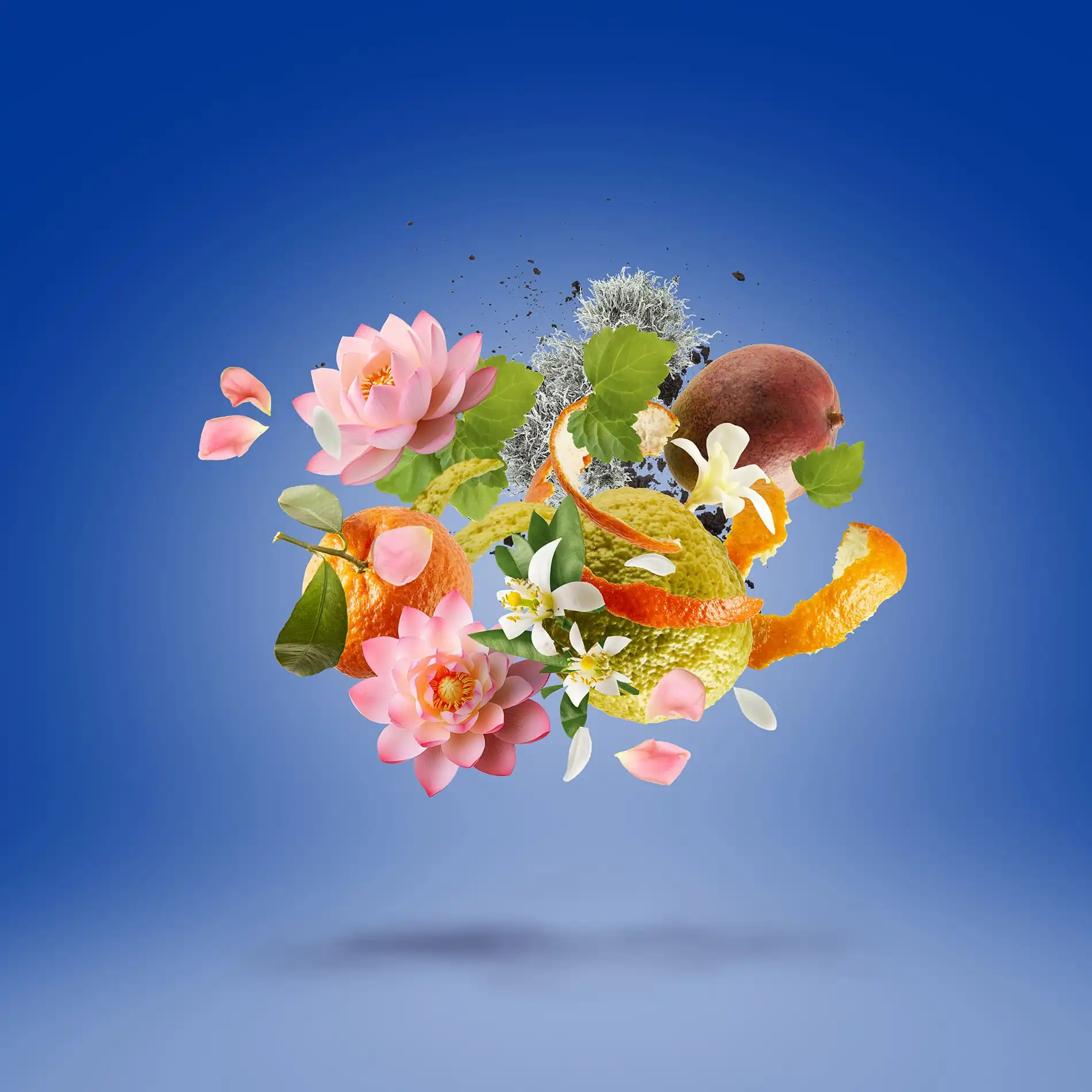 Hình 2 - Xerjoff Torino 24 (2024) EDP 50ml