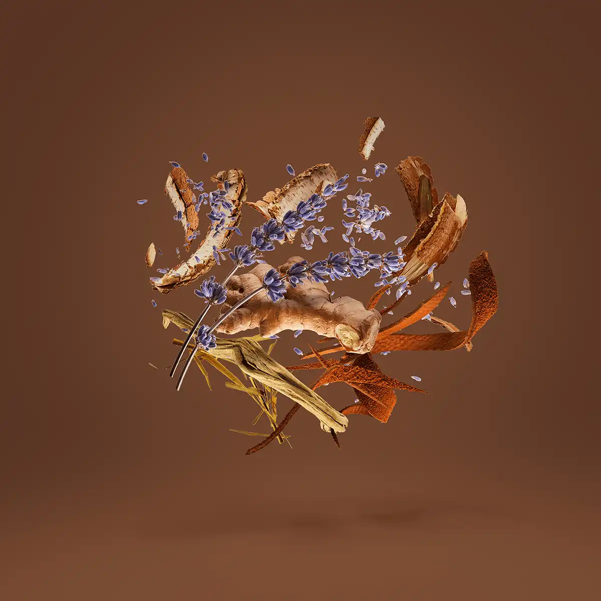 Hình 3 - Xerjoff Homme Parfum 100ml