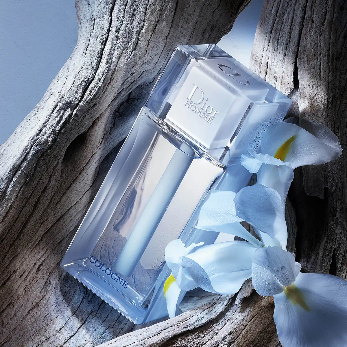 Hình 3 - Dior Homme Cologne (2022) EDC 125ml