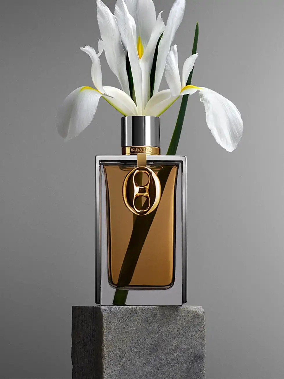 Hình 4 - Paco Rabanne Silver Skin (2024) EDP 125ml