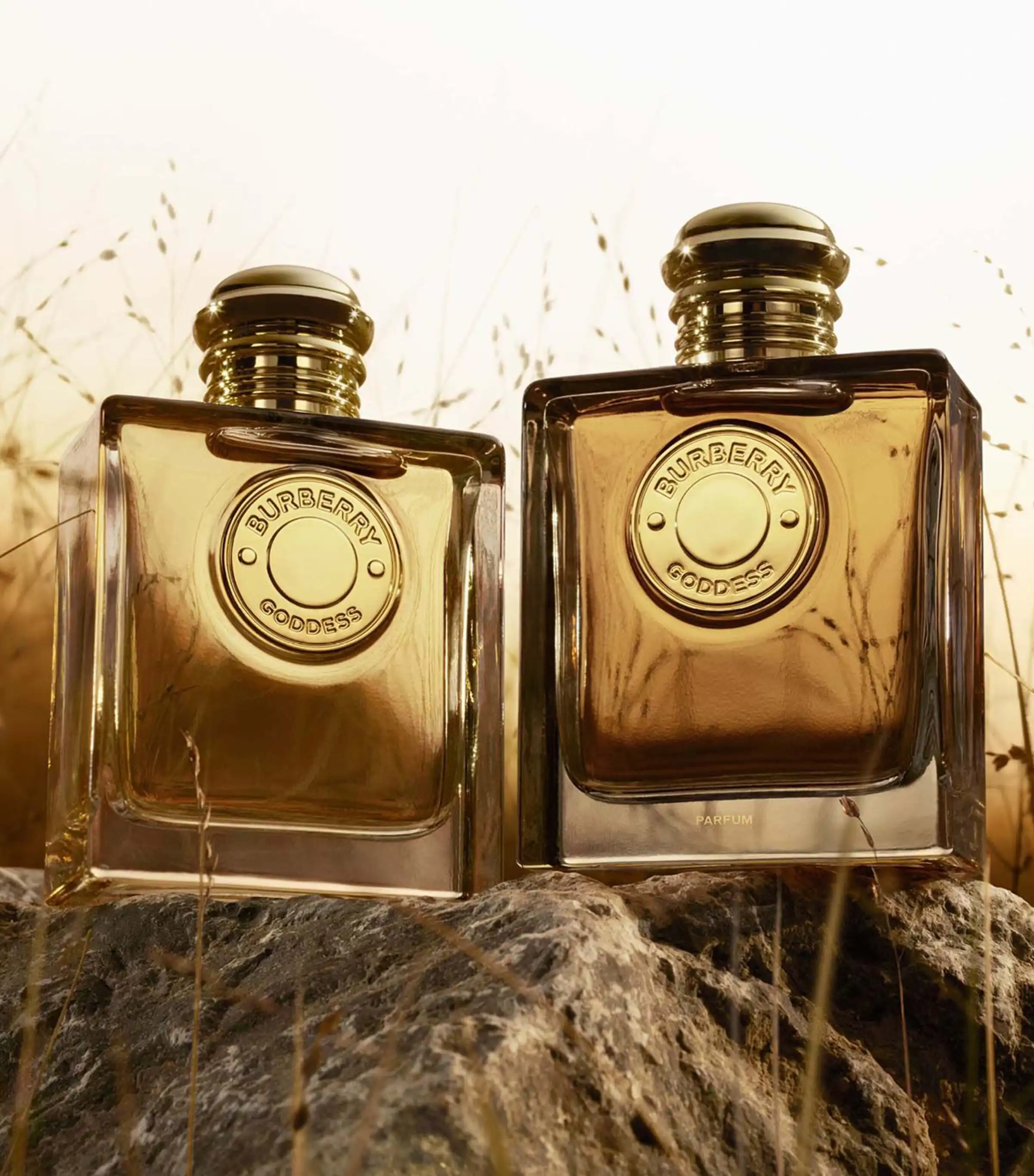 Hình 2 - Burberry Goddess (2025) Parfum 100ml