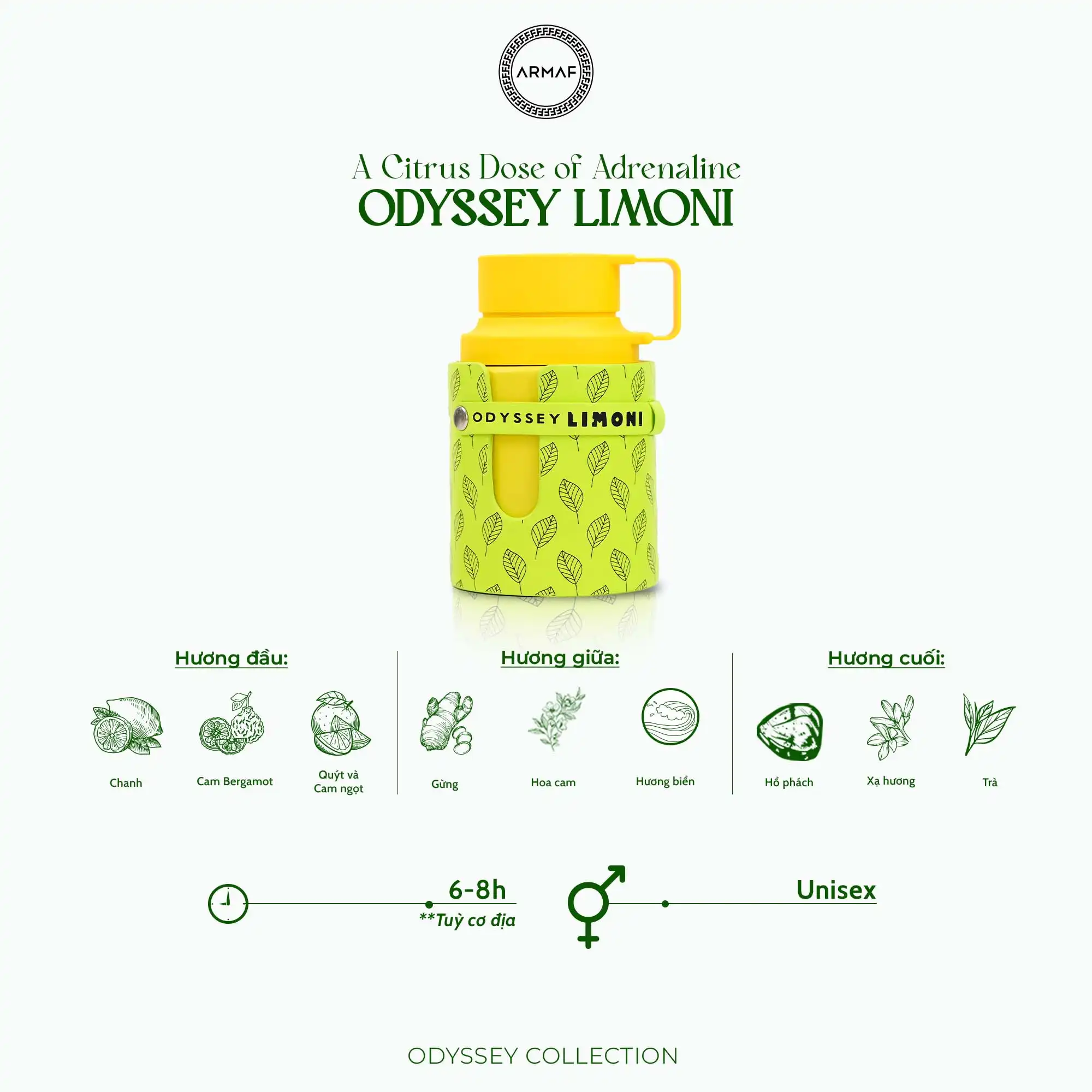 Hình 8 - Armaf Odyssey Limoni Fresh (2024) EDP 100ml