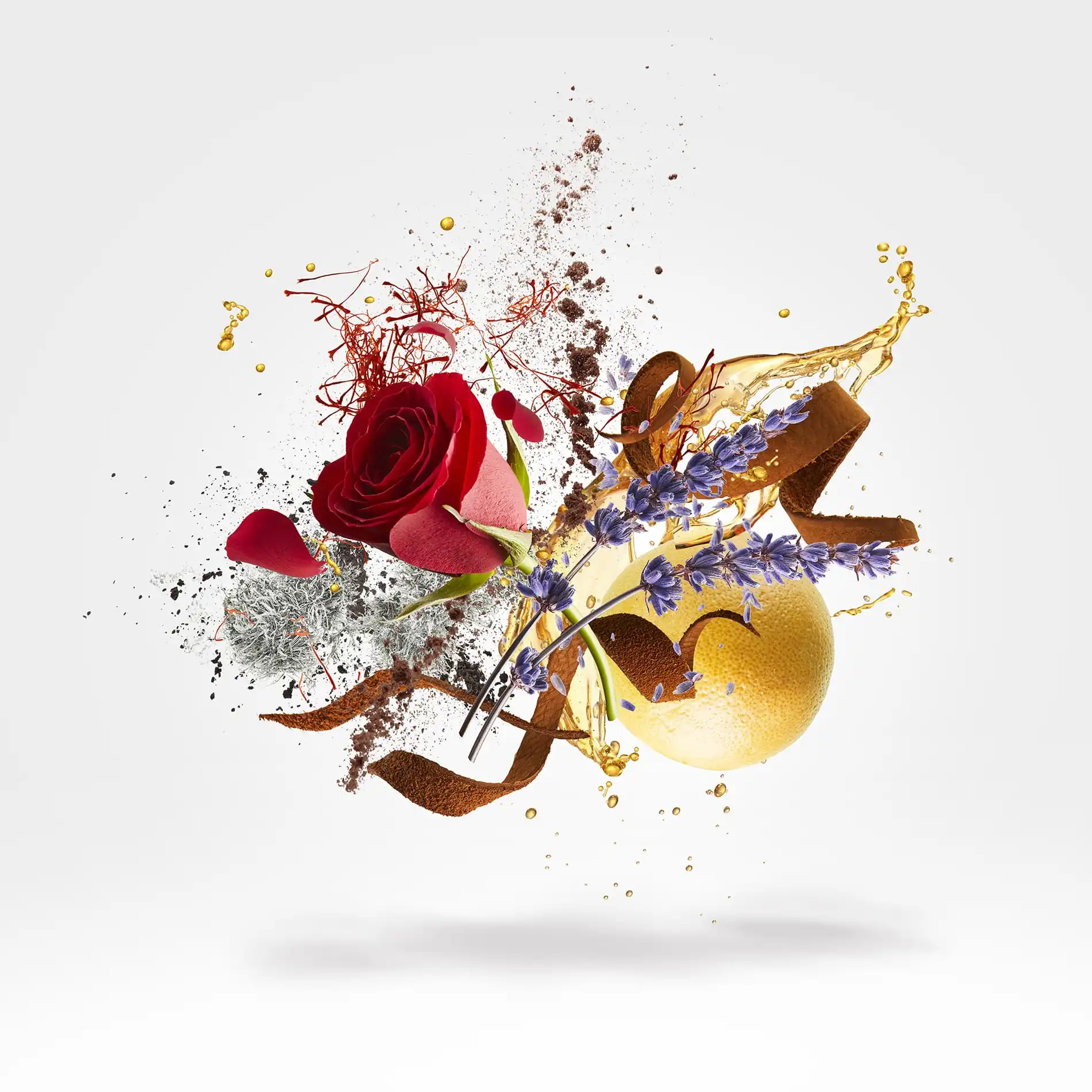 Hình 3 - Xerjoff Louis XV 1722 (2024) Parfum 50ml