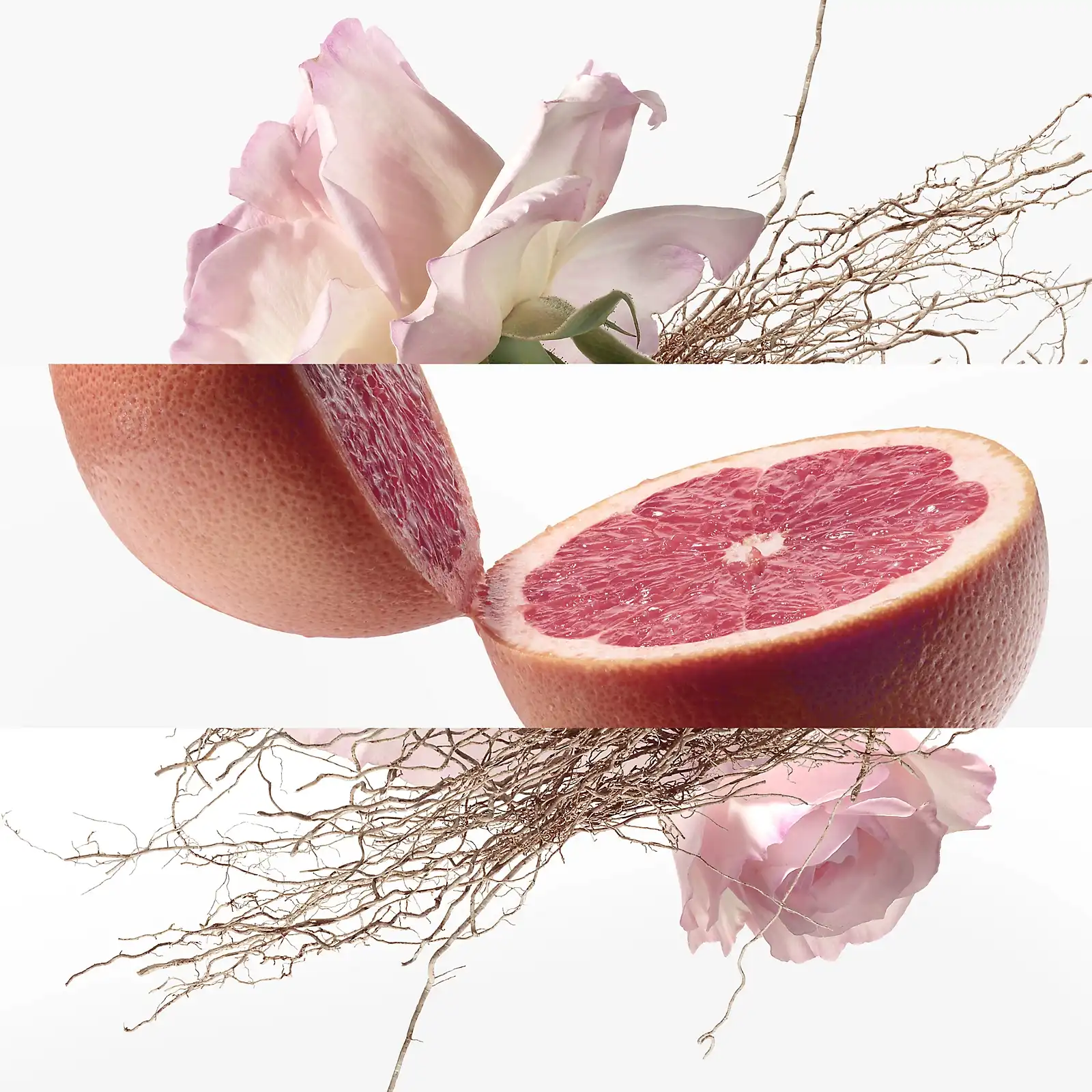 Hình 2 - Hermes Concentré de Pamplemousse Rose EDT 100ml