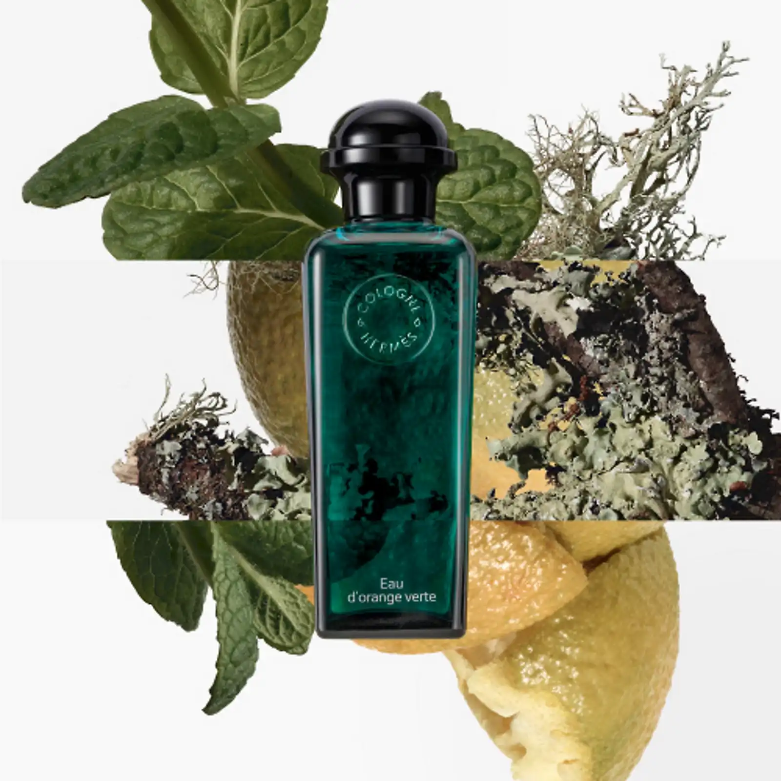 Hình 2 - Hermes Eau d’Orange Verte EDC 100ml