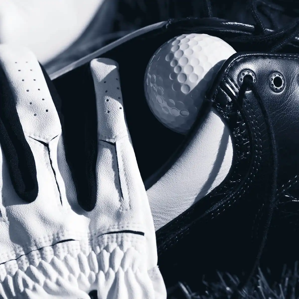 Hình 2 - Xerjoff Birdie EDP 50ml