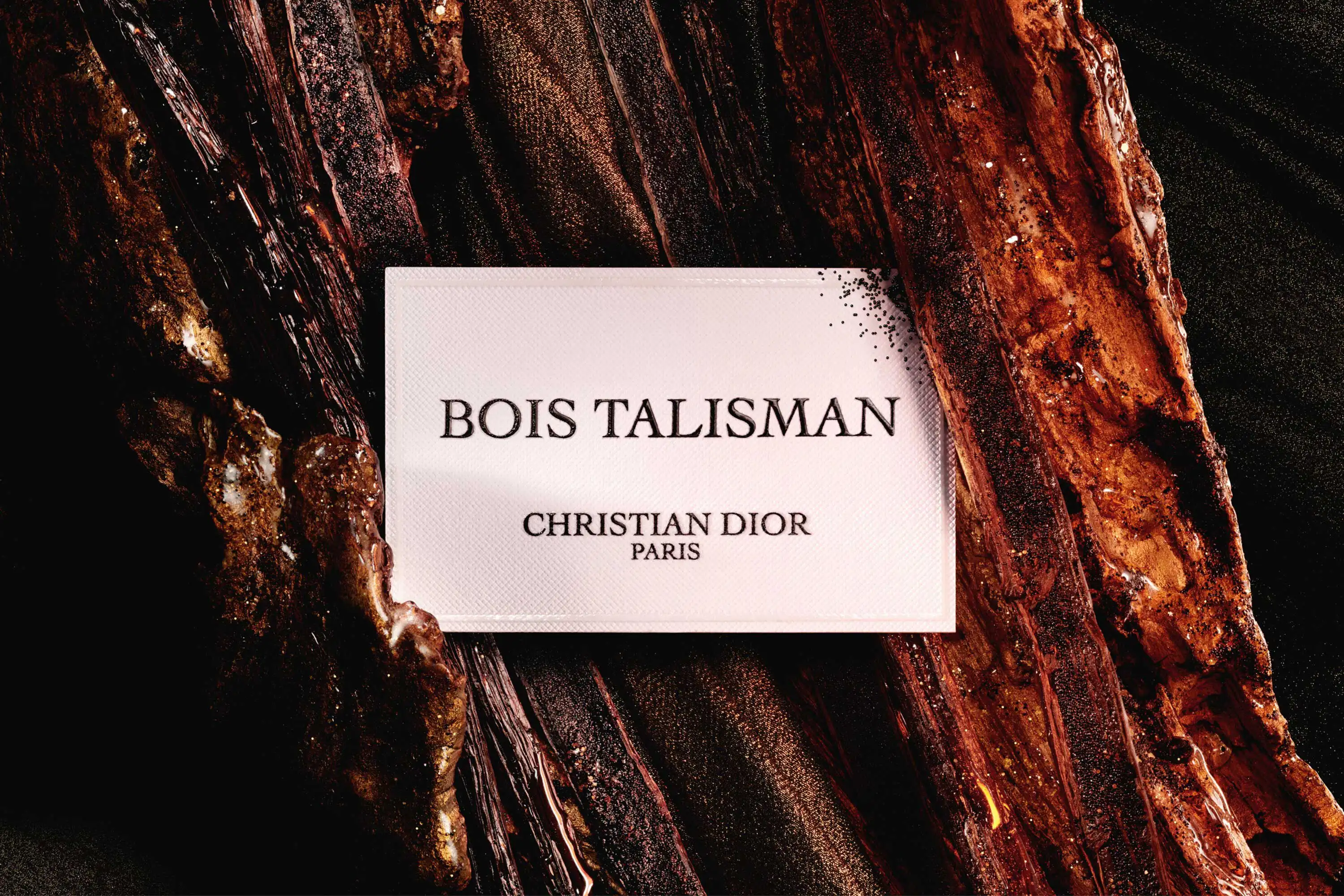 Hình 3 - Dior Bois Talisman (2025) EDP 100ml