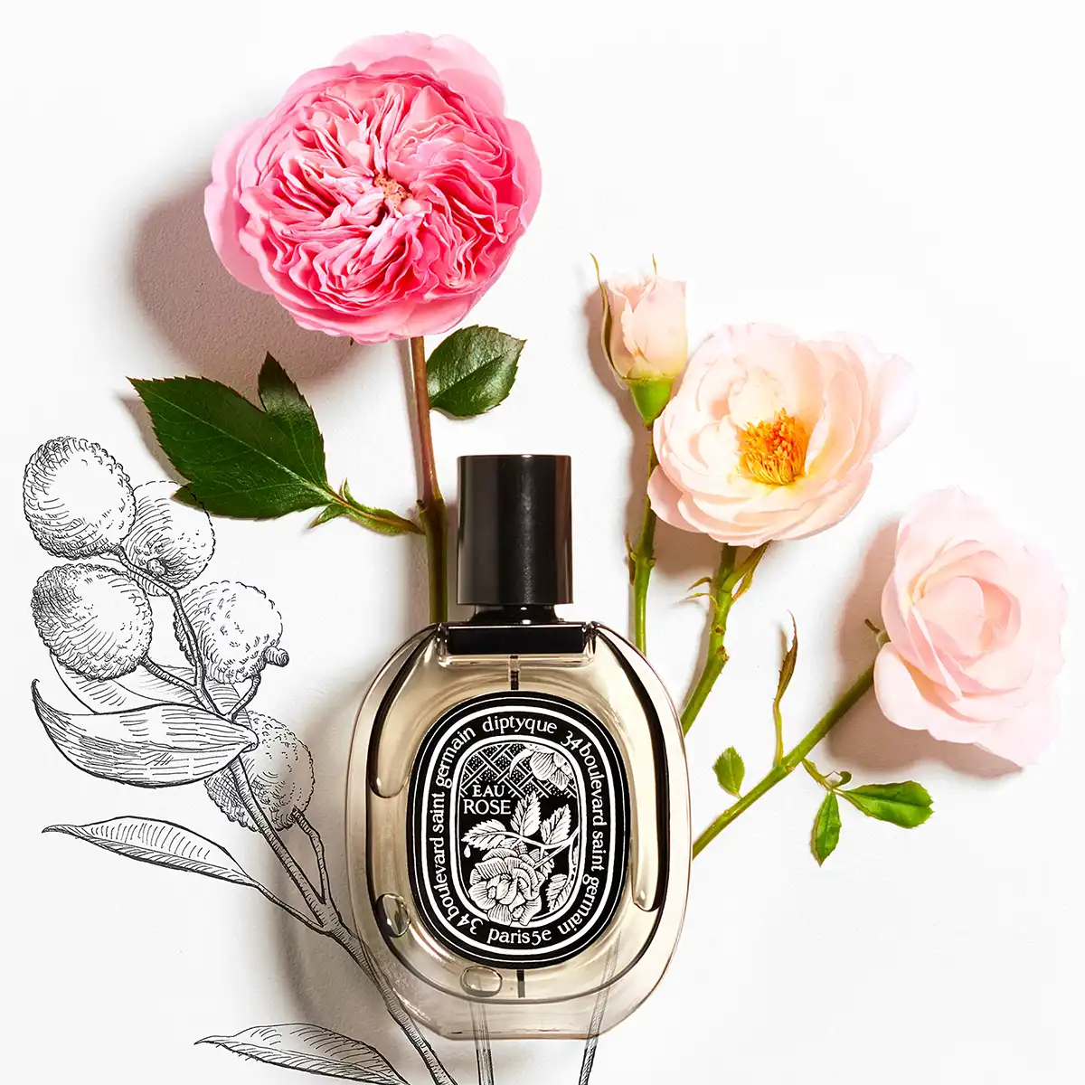 Hình 5 - Diptyque Paris Eau Rose (2022) EDP 75ml