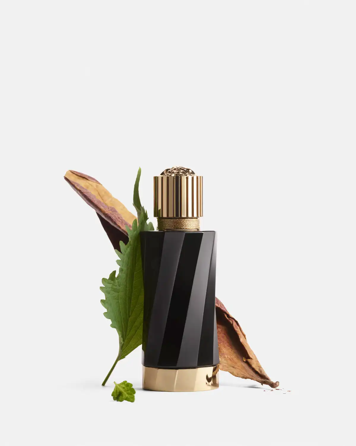 Hình 2 - Versace Tabac Impérial EDP 100ml