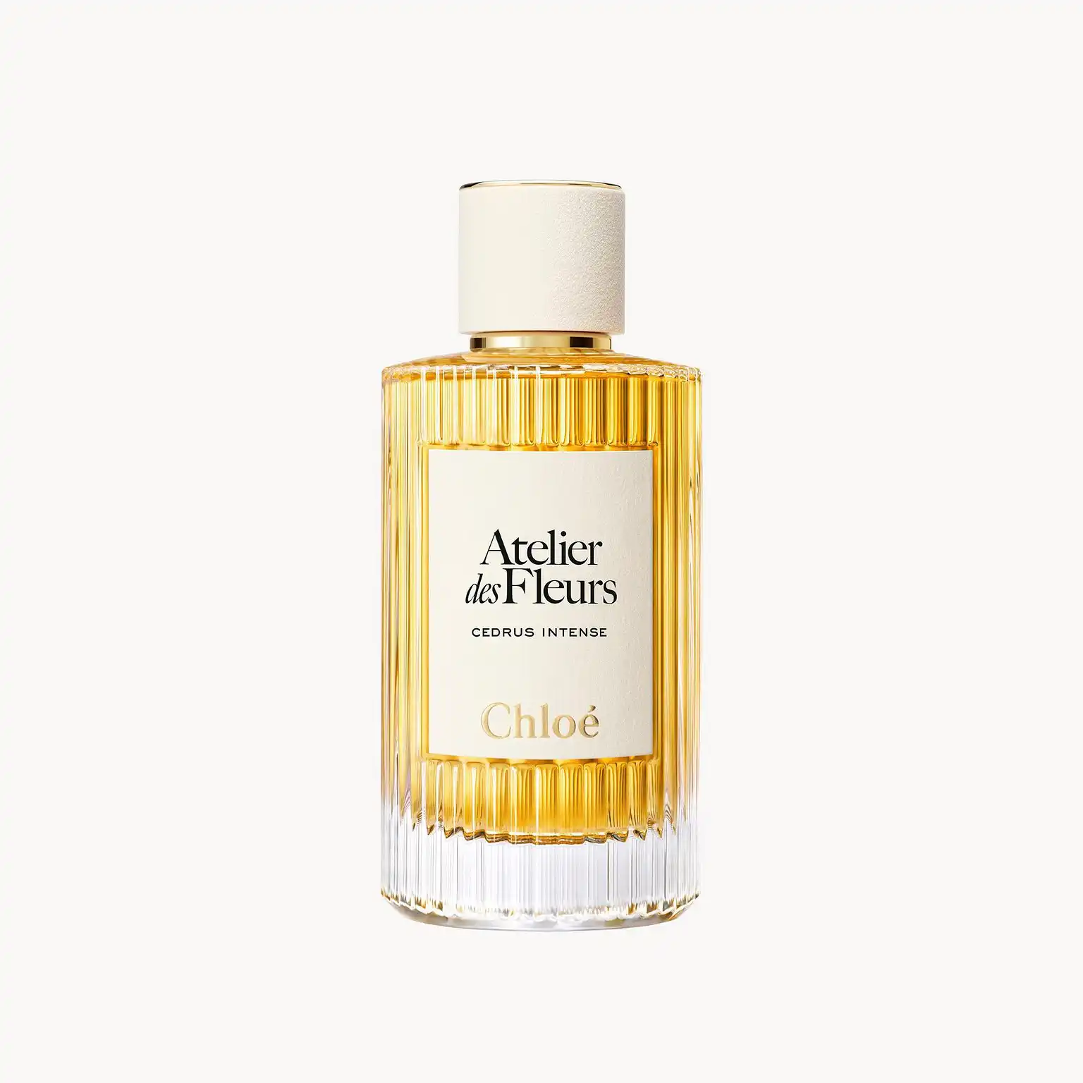 Hình 1 - Chloe Cedrus (2025) EDP Intense 100ml