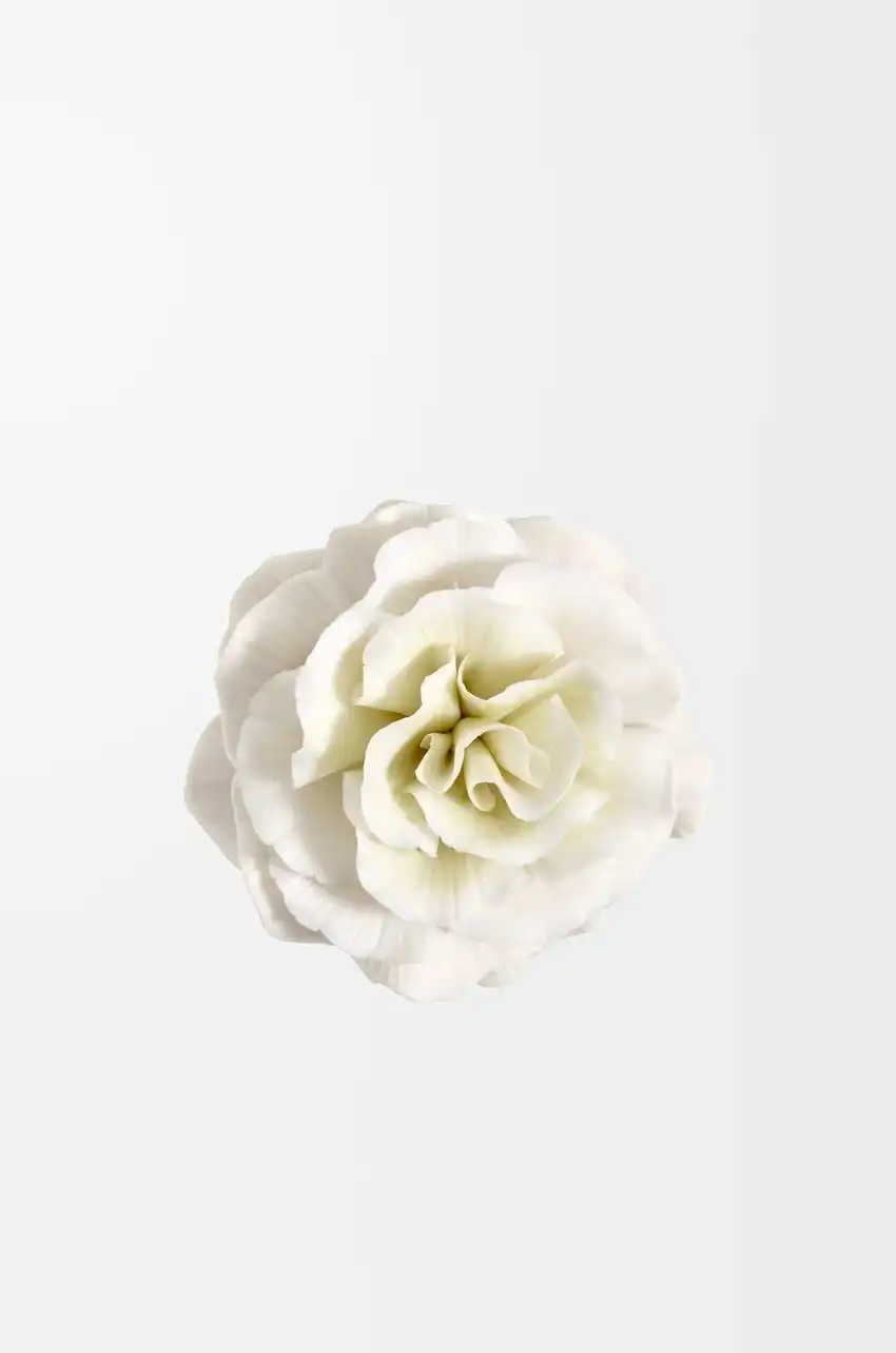 Hình 3 - Loewe 001 Woman x Lladró (2024) EDP 100ml