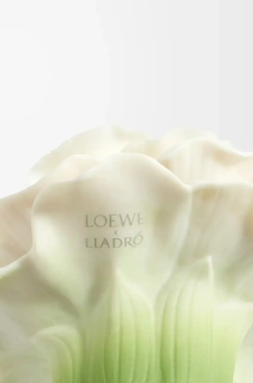 Hình 4 - Loewe 001 Woman x Lladró (2024) EDP 100ml