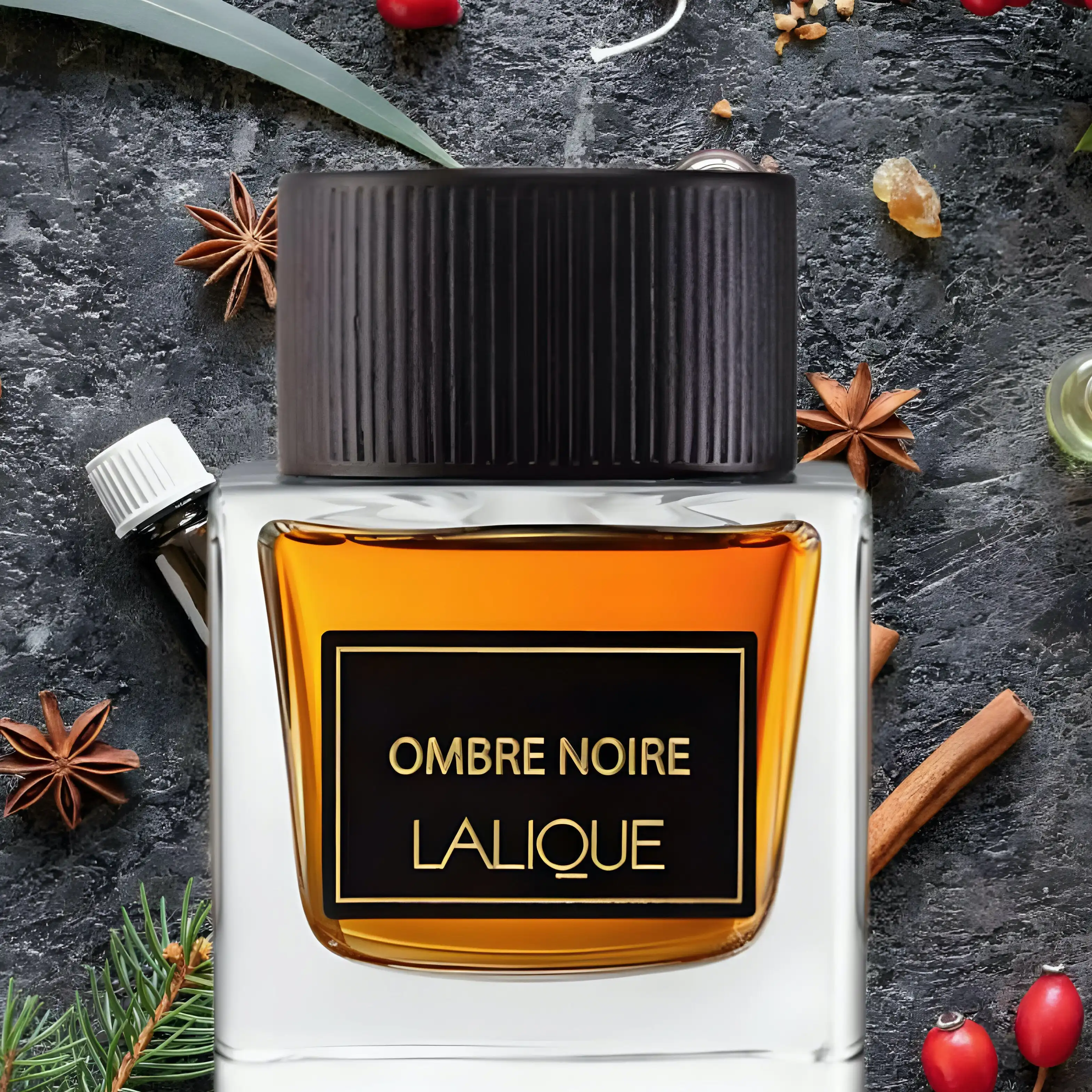 Hình 2 - Lalique Ombre Noire EDP 100ml