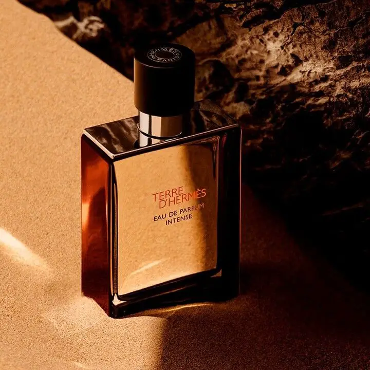 Hình 3 - Hermes Terre d’Hermes (2025) EDP Intense 100ml