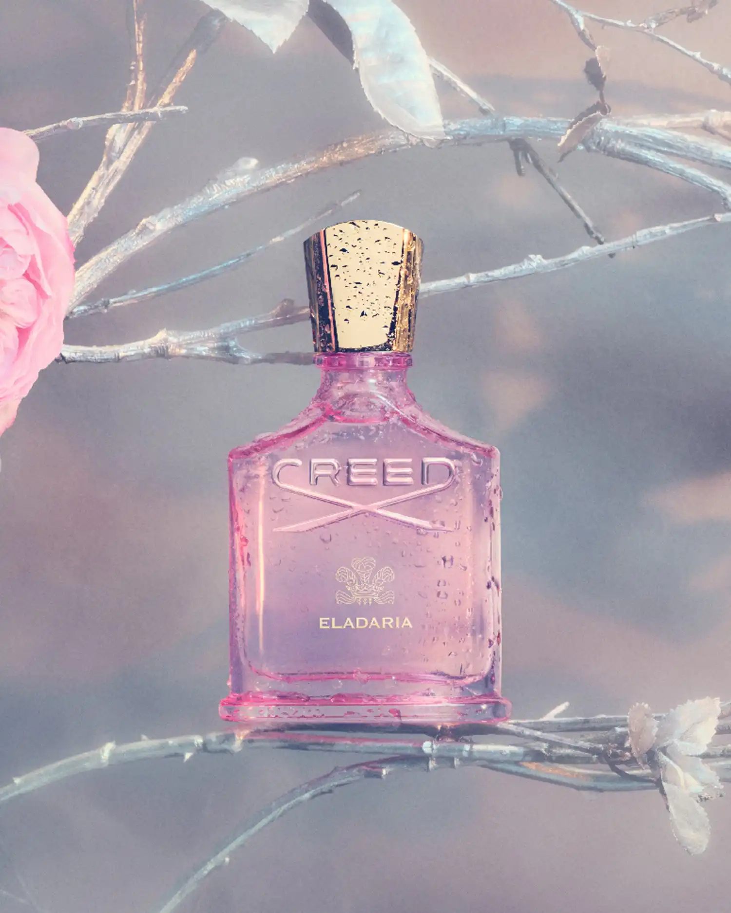 Hình 3 - Creed Eladaria (2025) EDP 75ml