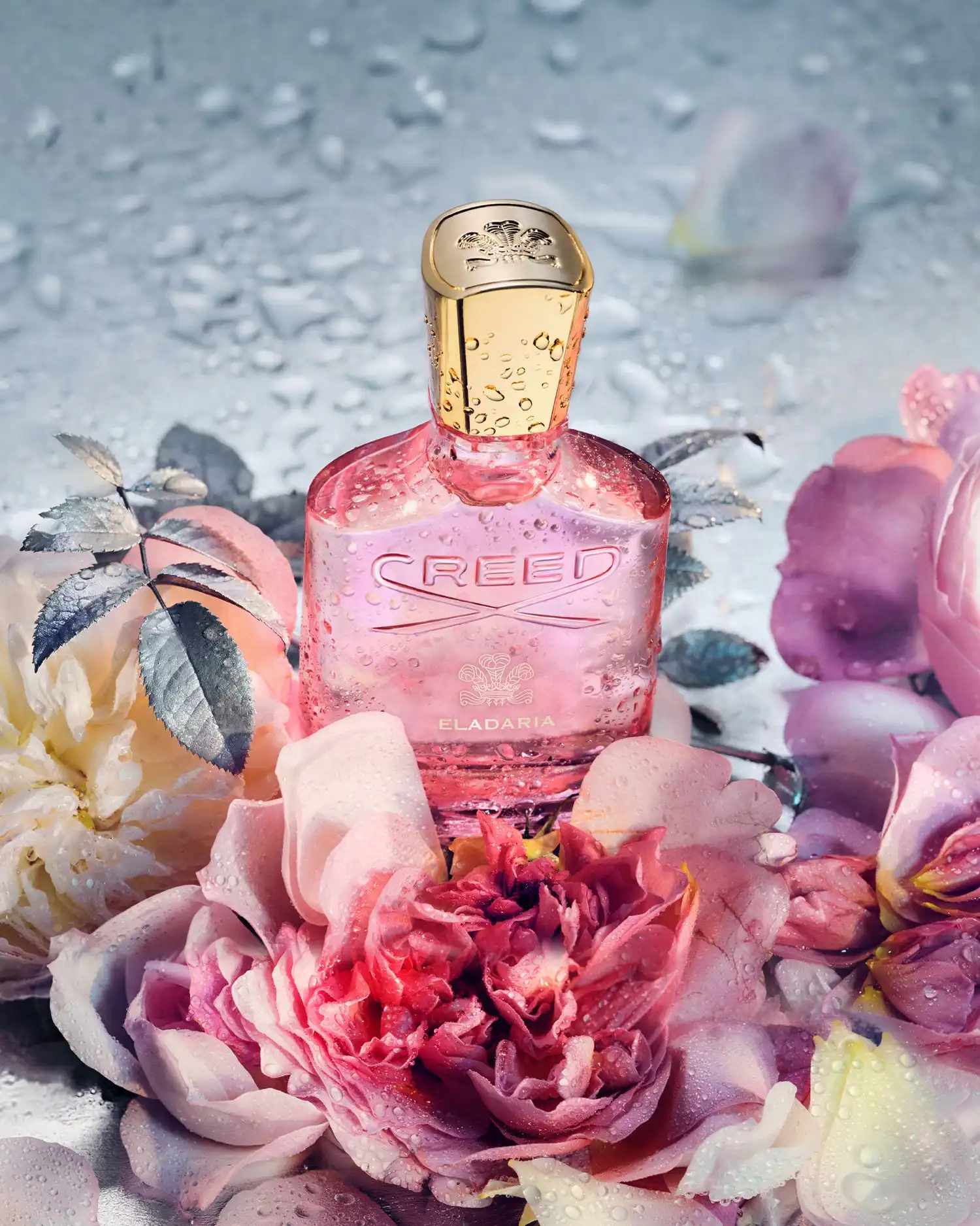 Hình 4 - Creed Eladaria (2025) EDP 75ml