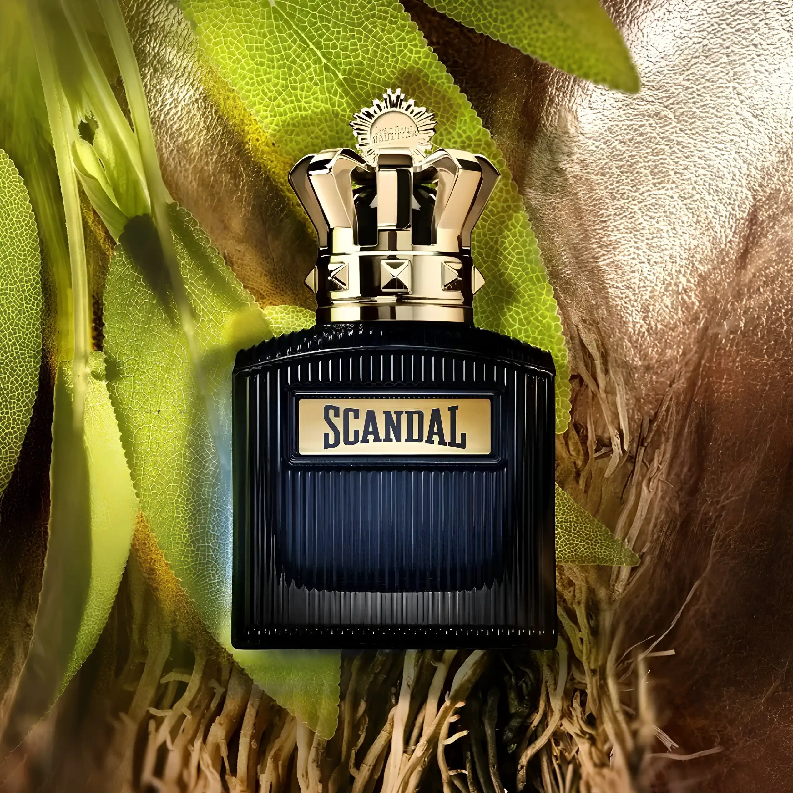 Hình 2 - Jean Paul Gaultier Scandal Pour Homme (2025) EDP Intense 100ml