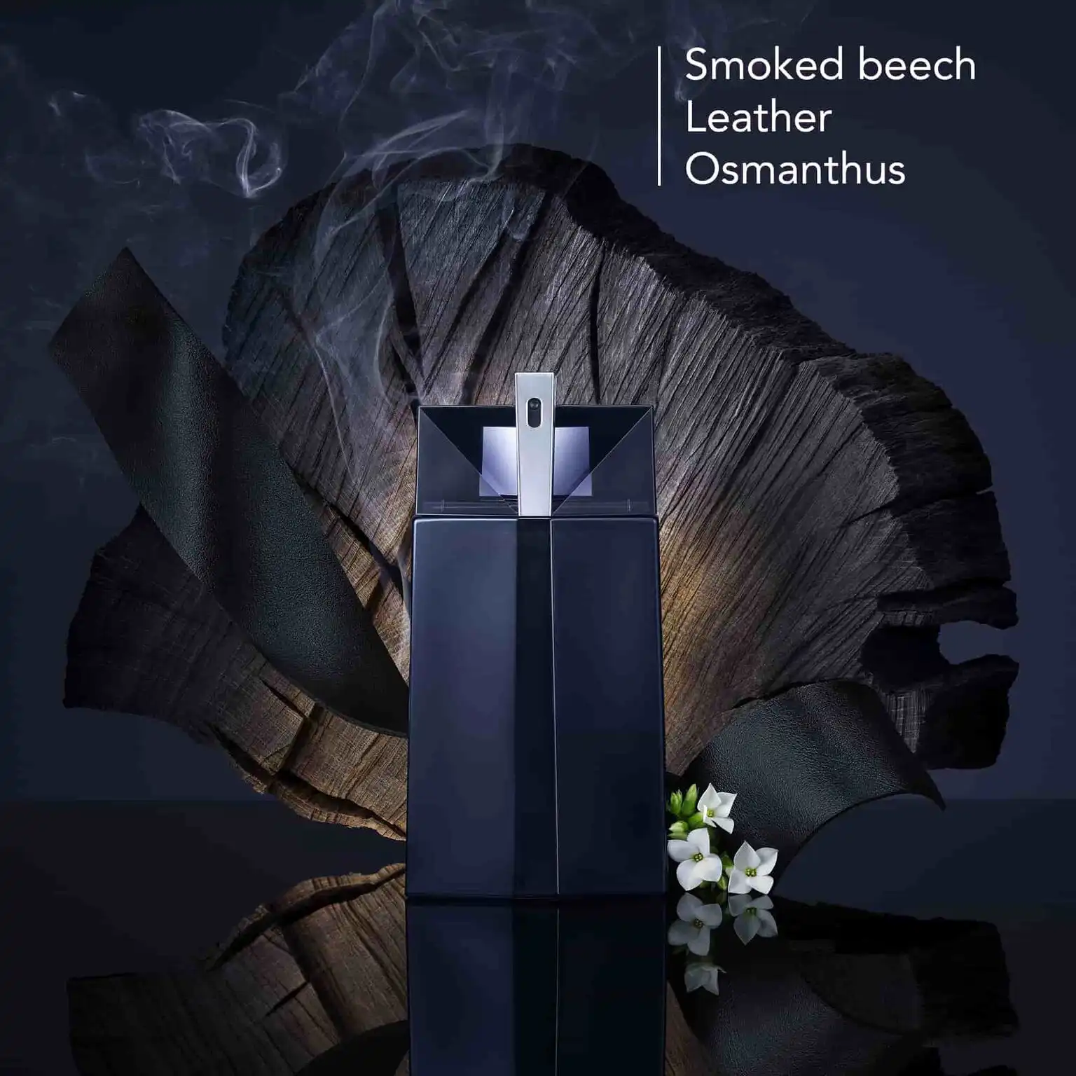 Hình 2 - Thierry Mugler Alien Man EDT 100ml