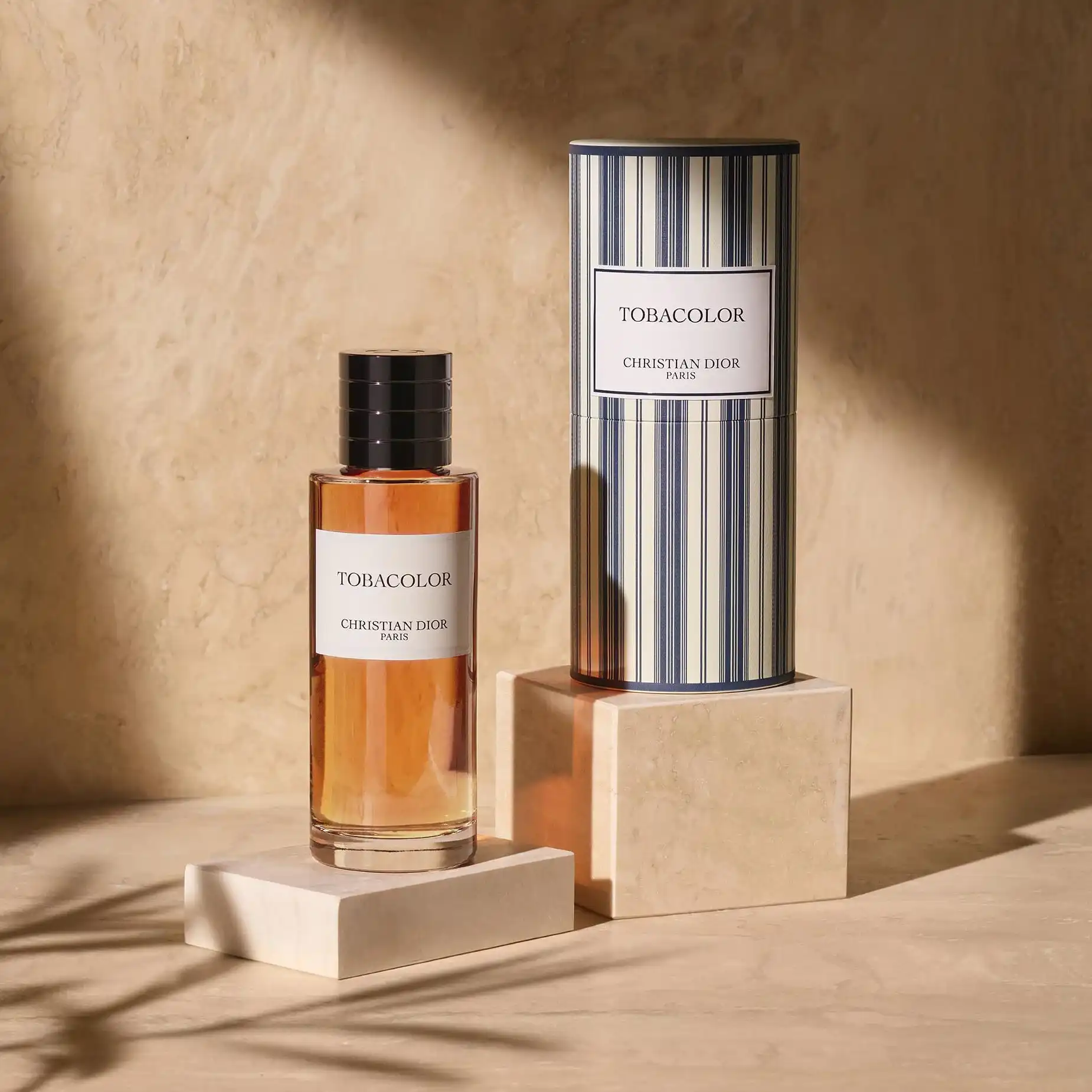 Hình 3 - Dior Tobacolor EDP 100ml