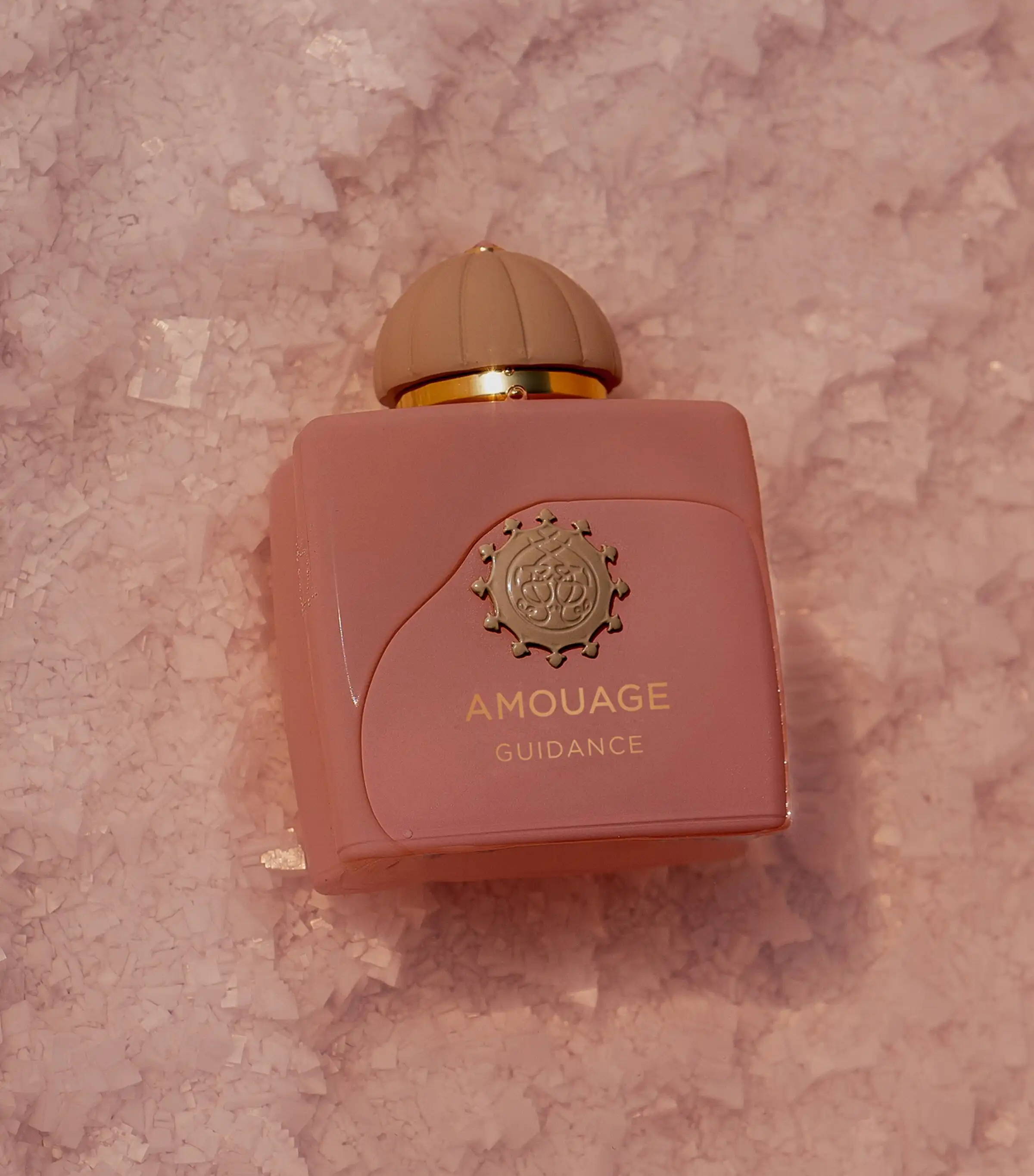 Hình 2 - Amouage Guidance (2023) EDP 100ml