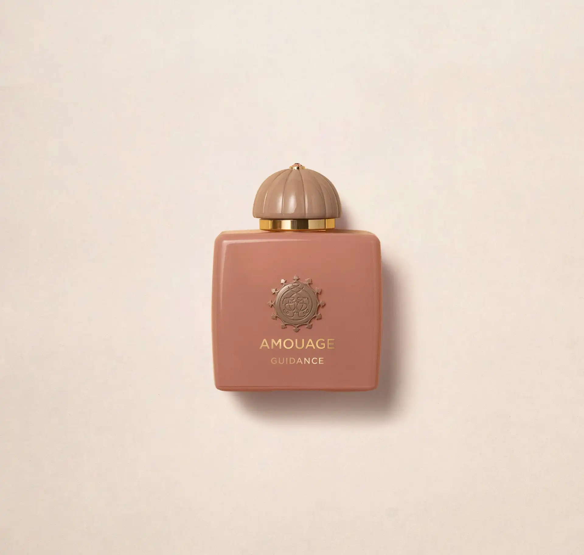 Hình 1 - Amouage Guidance (2023) EDP 100ml