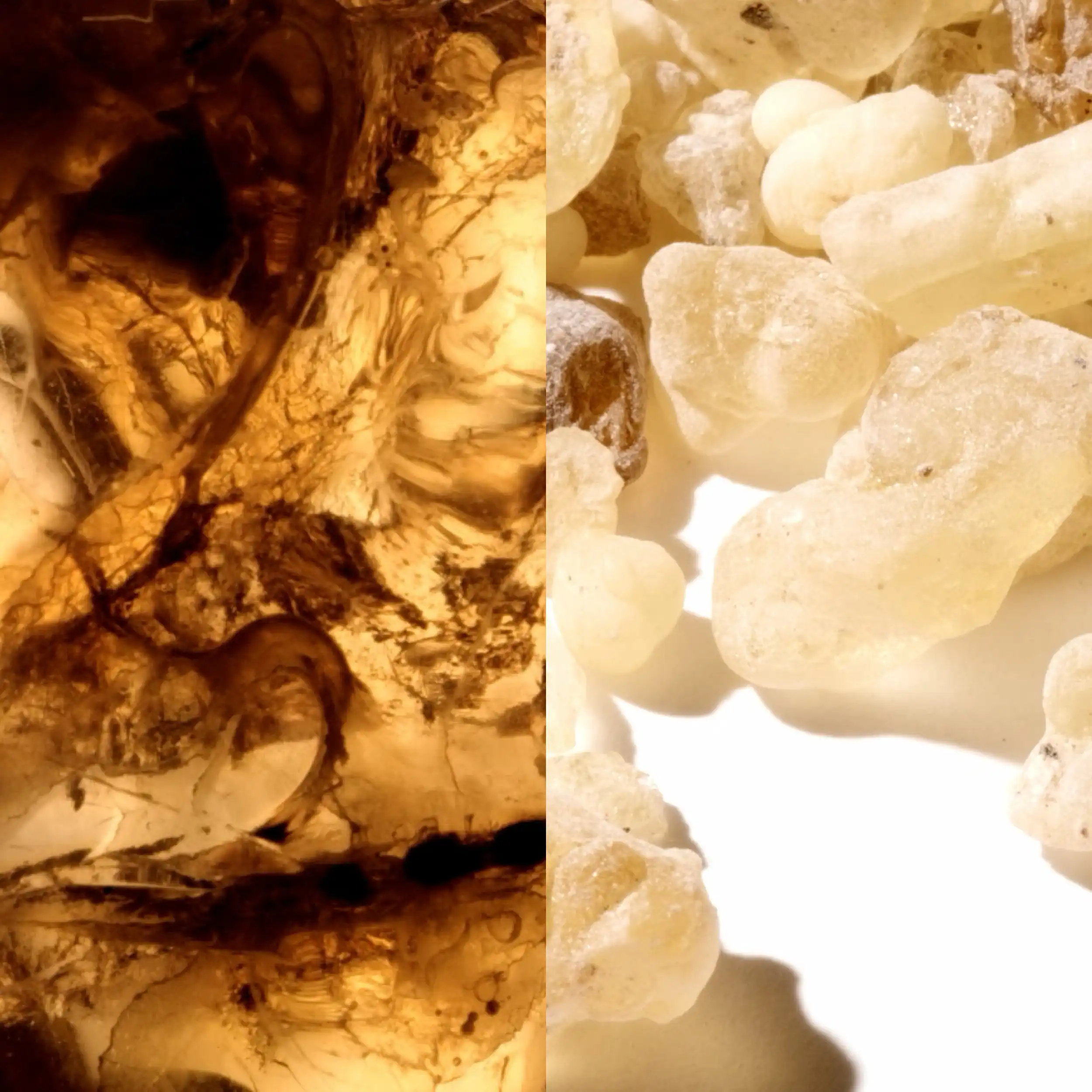 Hình 2 - Montblanc Collection Black Meisterstück EDP 125ml