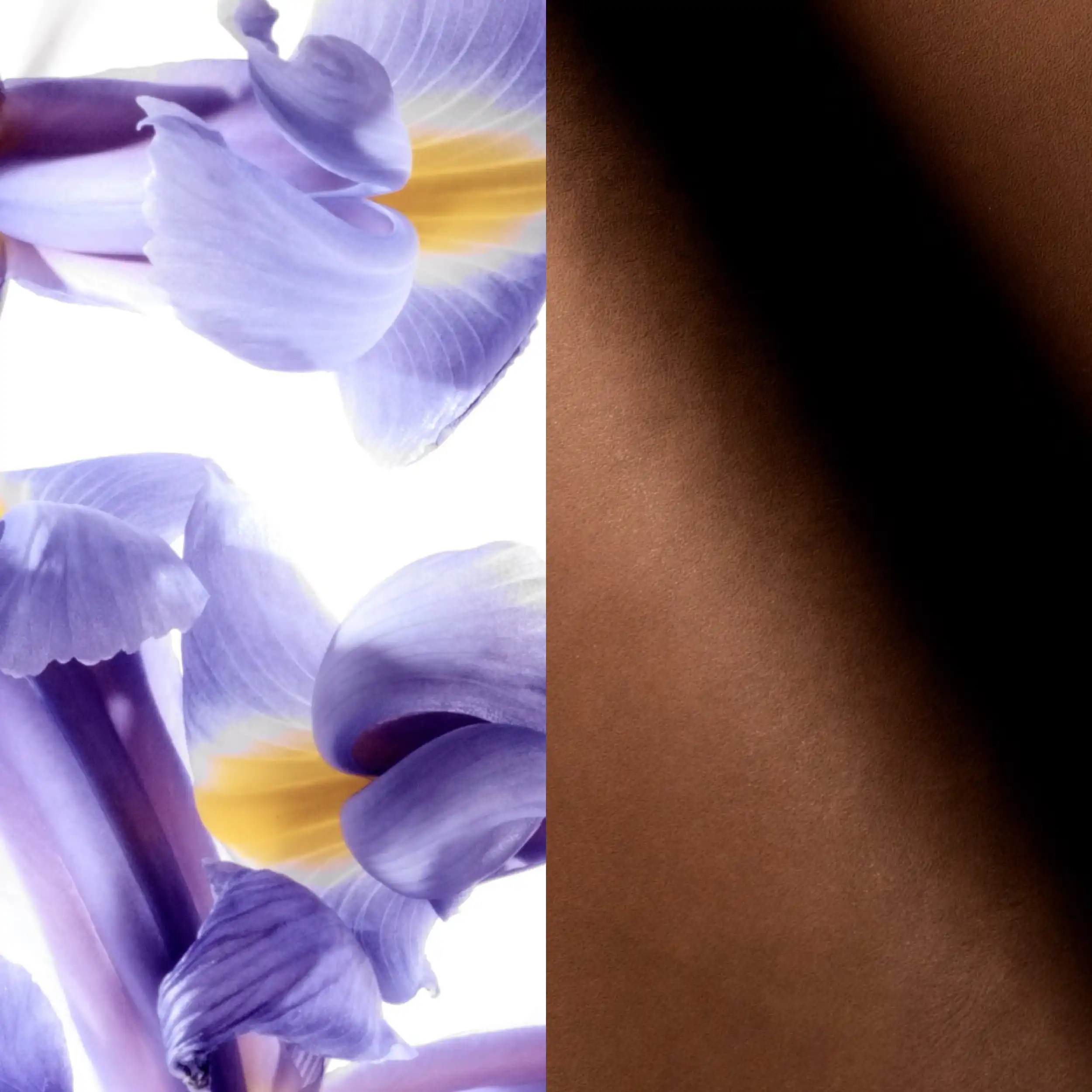 Hình 2 - Montblanc Collection Extreme Leather EDP 125ml